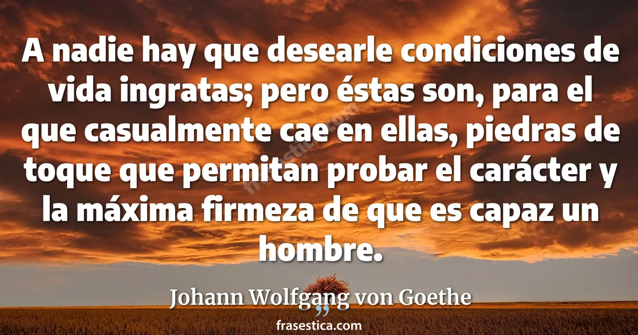 A nadie hay que desearle condiciones de vida ingratas; pero éstas son, para el que casualmente cae en ellas, piedras de toque que permitan probar el carácter y la máxima firmeza de que es capaz un hombre. - Johann Wolfgang von Goethe