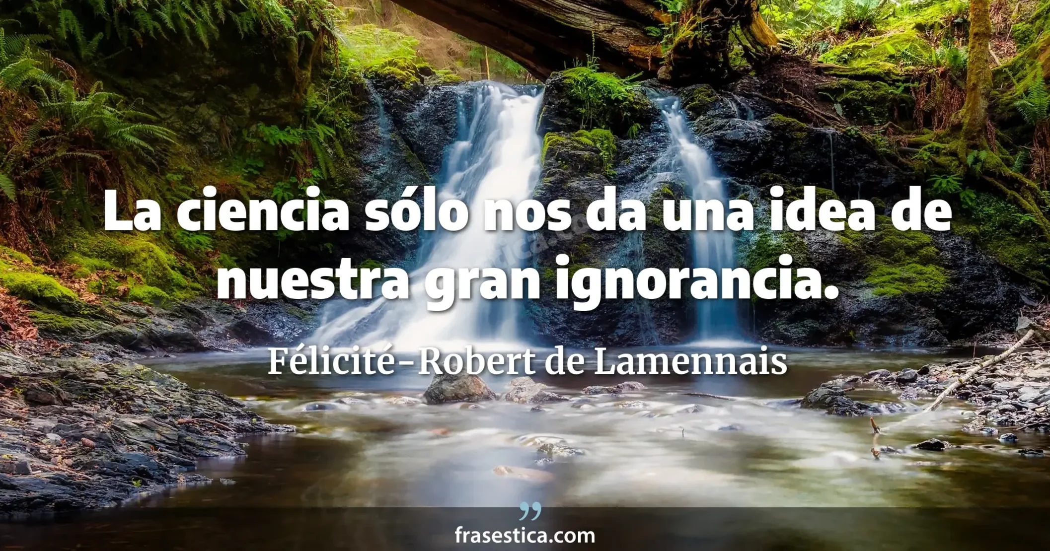 La ciencia sólo nos da una idea de nuestra gran ignorancia. - Félicité-Robert de Lamennais