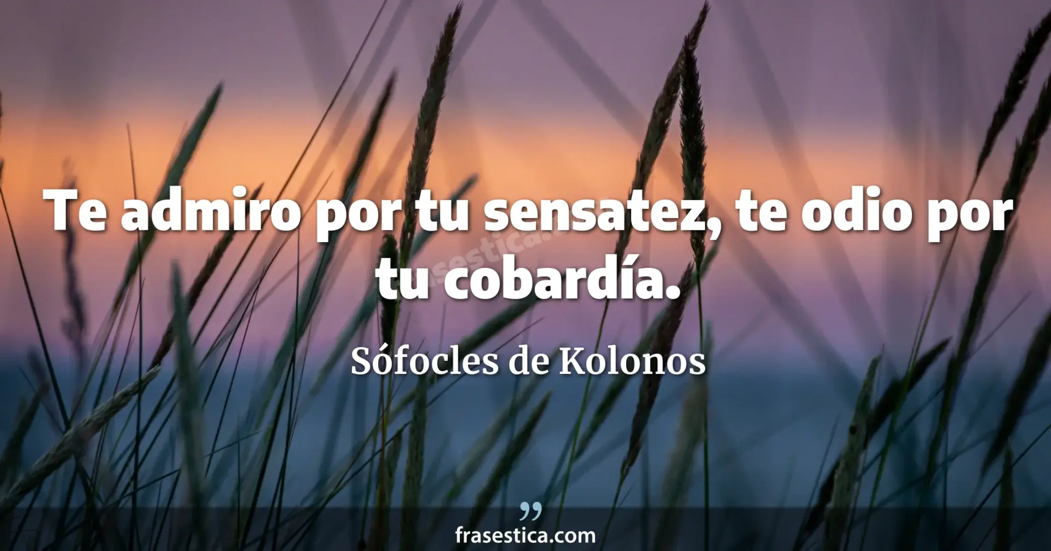 Te admiro por tu sensatez, te odio por tu cobardía. - Sófocles de Kolonos