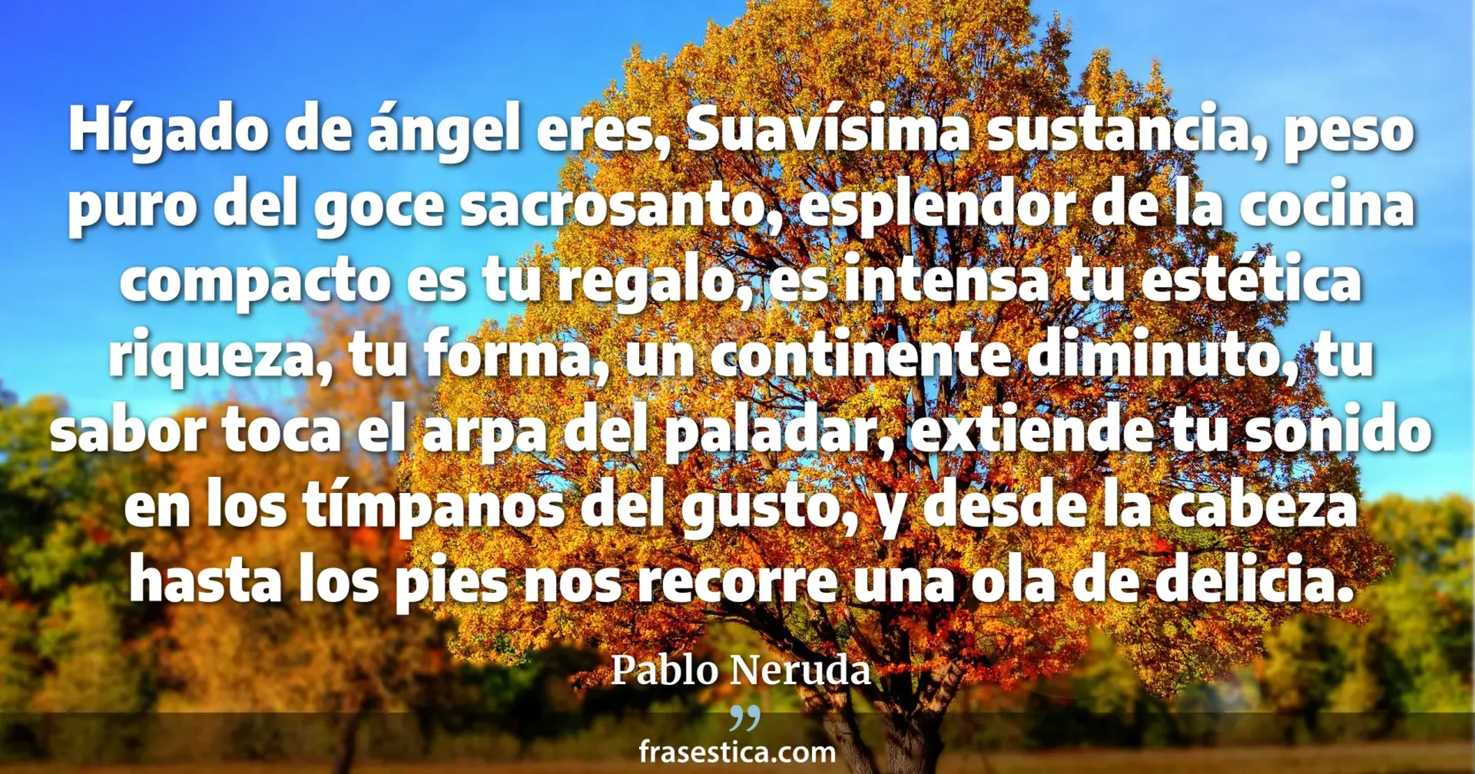 Hígado de ángel eres, Suavísima sustancia, peso puro del goce sacrosanto, esplendor de la cocina compacto es tu regalo, es intensa tu estética riqueza, tu forma, un continente diminuto, tu sabor toca el arpa del paladar, extiende tu sonido en los tímpanos del gusto, y desde la cabeza hasta los pies nos recorre una ola de delicia. - Pablo Neruda