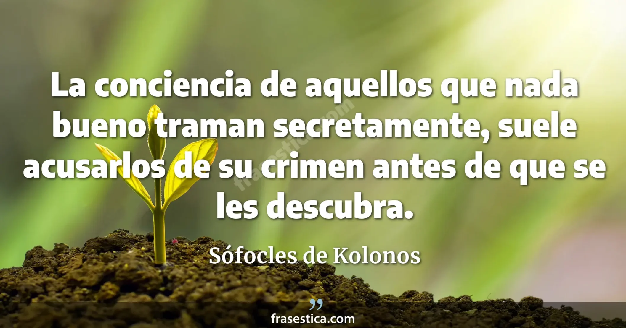 La conciencia de aquellos que nada bueno traman secretamente, suele acusarlos de su crimen antes de que se les descubra. - Sófocles de Kolonos
