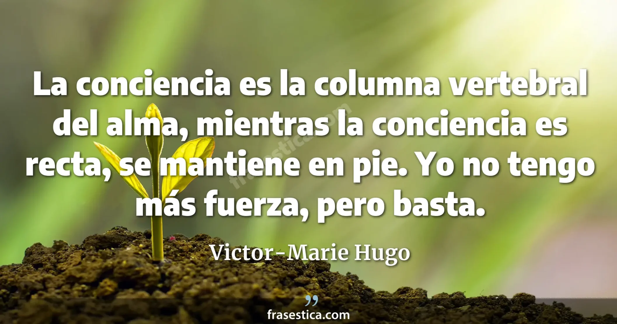 La conciencia es la columna vertebral del alma, mientras la conciencia es recta, se mantiene en pie. Yo no tengo más fuerza, pero basta. - Victor-Marie Hugo