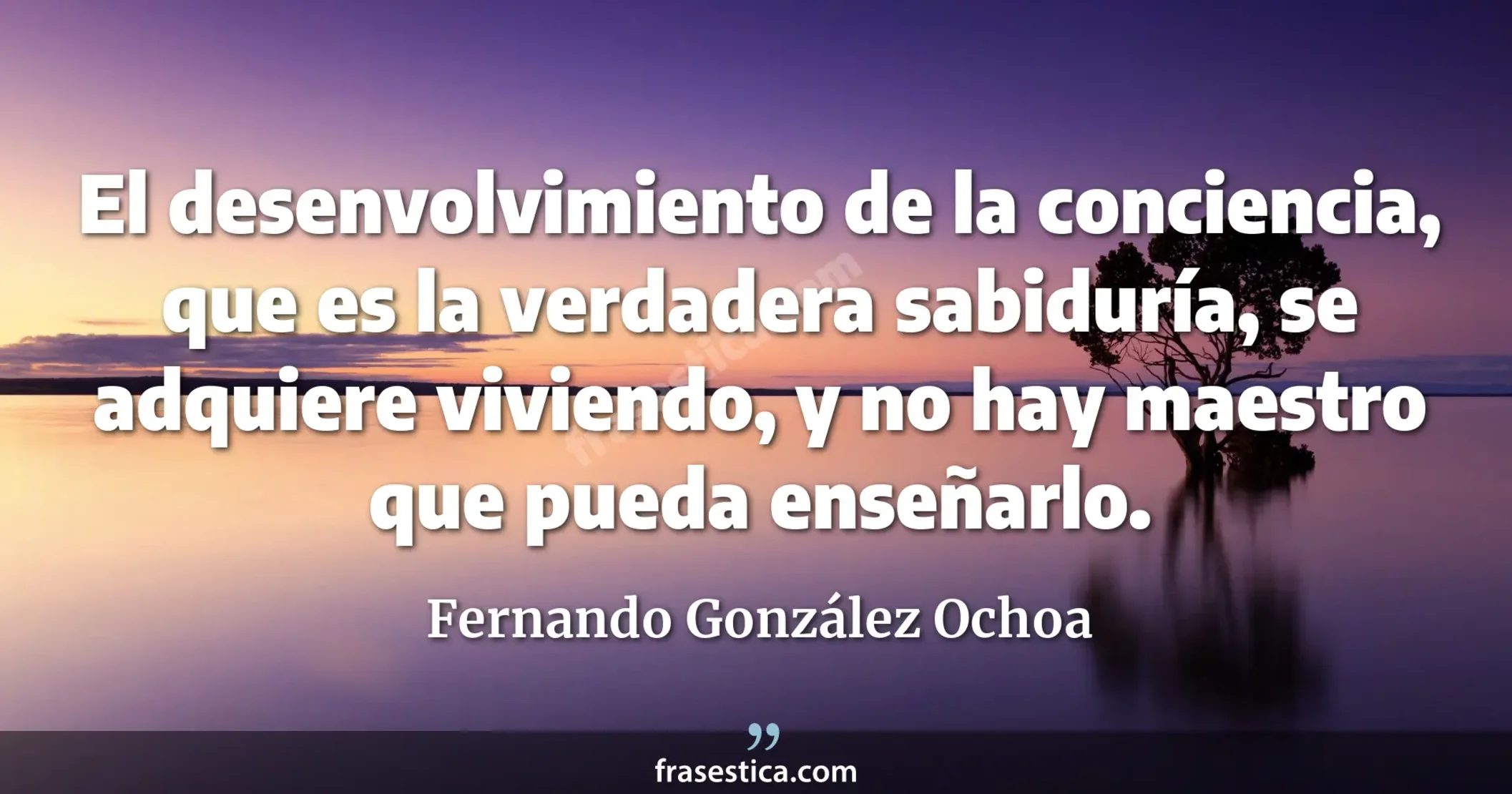 El desenvolvimiento de la conciencia, que es la verdadera sabiduría, se adquiere viviendo, y no hay maestro que pueda enseñarlo. - Fernando González Ochoa