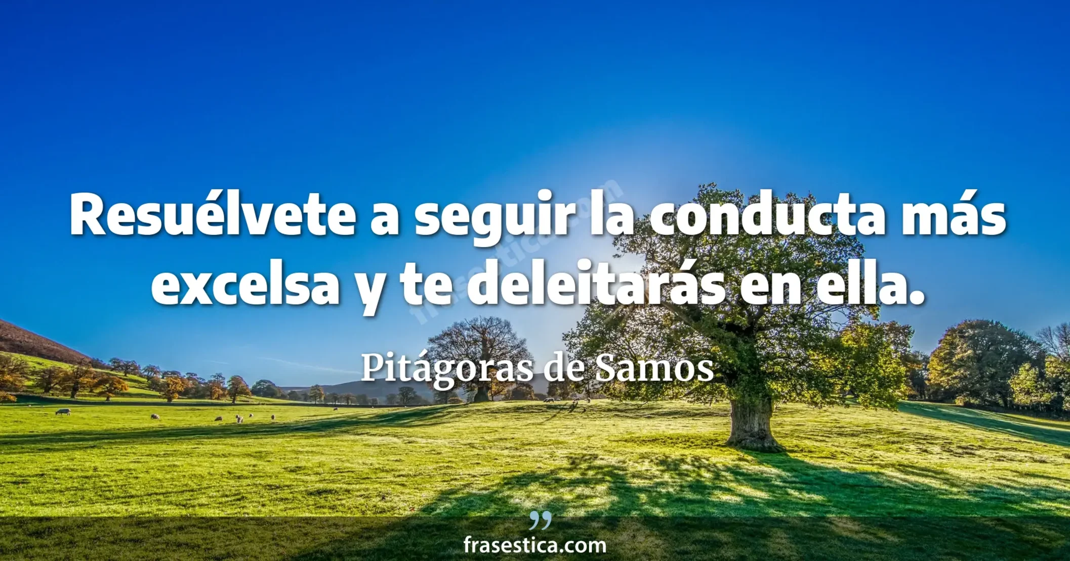 Resuélvete a seguir la conducta más excelsa y te deleitarás en ella. - Pitágoras de Samos