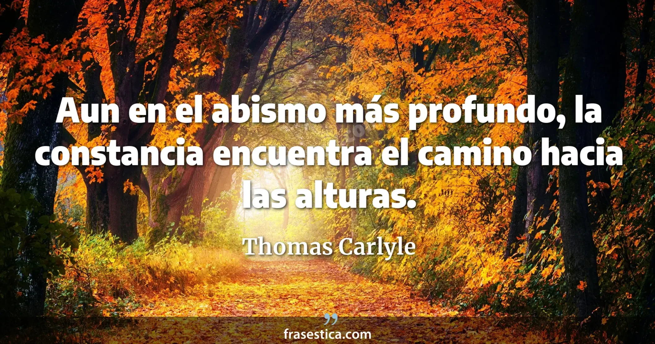 Aun en el abismo más profundo, la constancia encuentra el camino hacia las alturas. - Thomas Carlyle