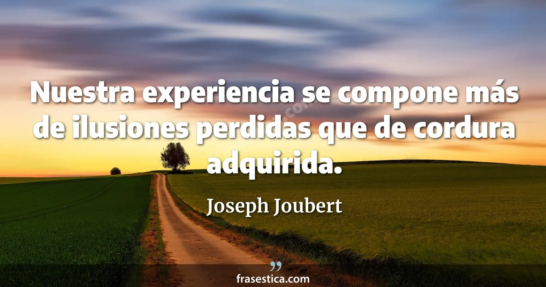 Nuestra experiencia se compone más de ilusiones perdidas que de cordura adquirida. - Joseph Joubert
