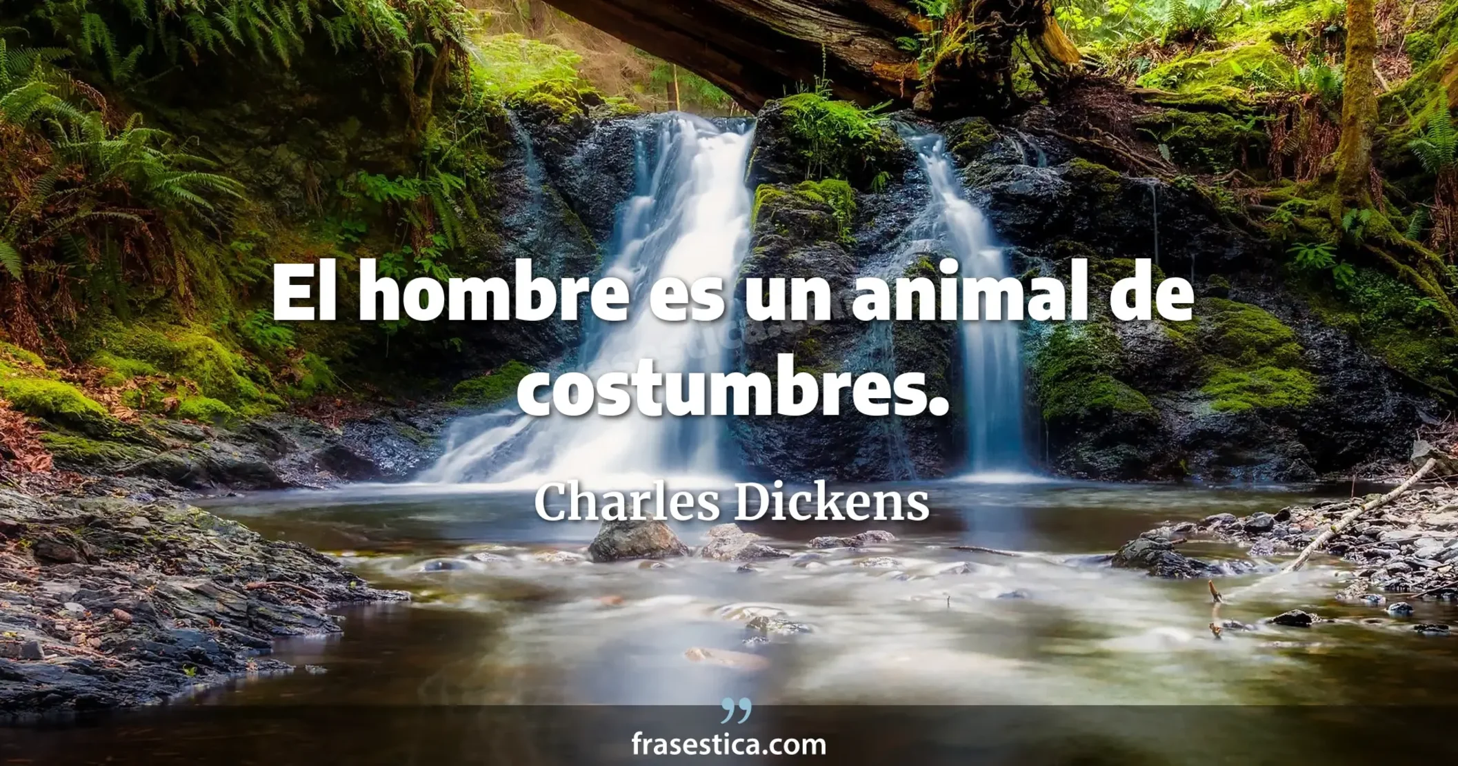 El hombre es un animal de costumbres. - Charles Dickens