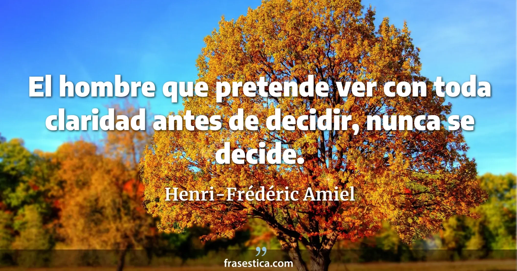 El hombre que pretende ver con toda claridad antes de decidir, nunca se decide. - Henri-Frédéric Amiel
