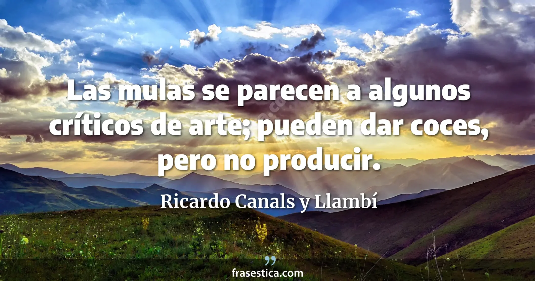 Las mulas se parecen a algunos críticos de arte; pueden dar coces, pero no producir. - Ricardo Canals y Llambí