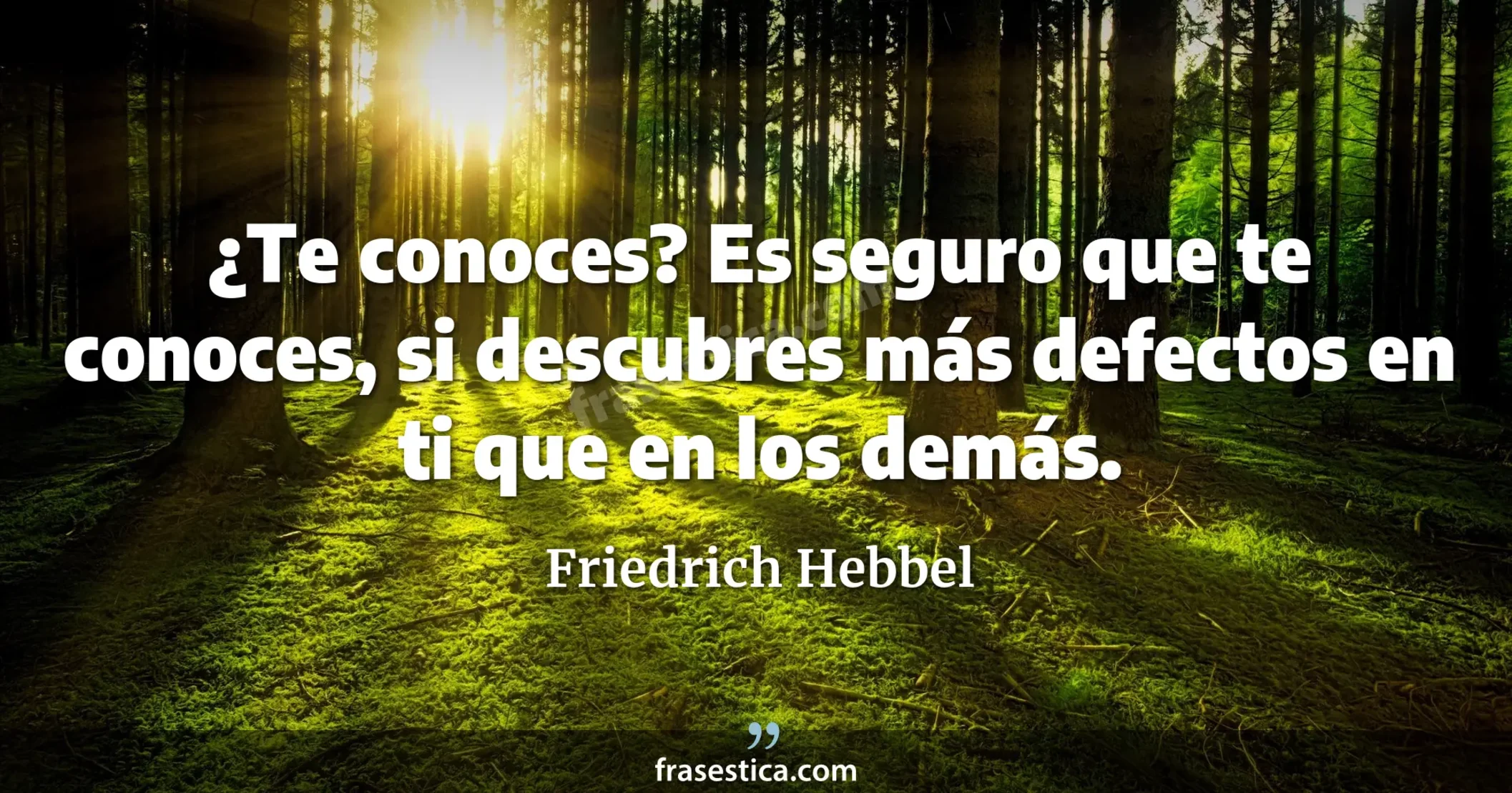 ¿Te conoces? Es seguro que te conoces, si descubres más defectos en ti que en los demás. - Friedrich Hebbel