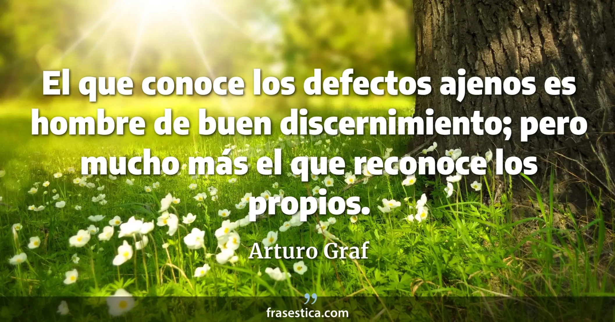 El que conoce los defectos ajenos es hombre de buen discernimiento; pero mucho más el que reconoce los propios. - Arturo Graf