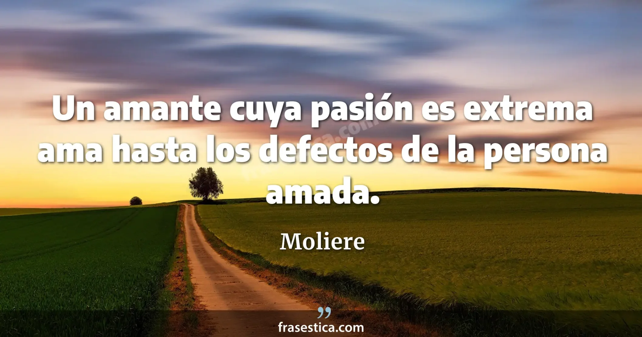 Un amante cuya pasión es extrema ama hasta los defectos de la persona amada. - Moliere