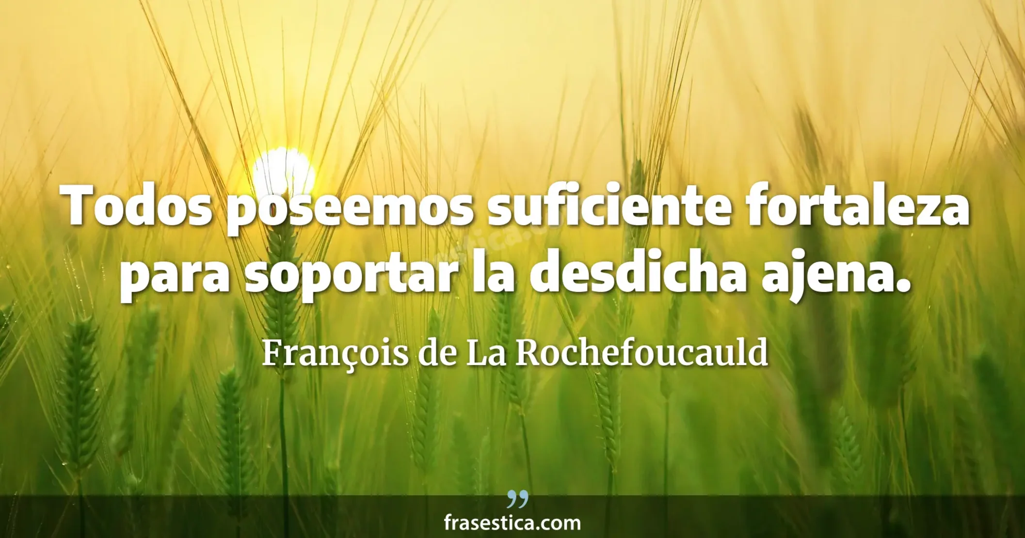 Todos poseemos suficiente fortaleza para soportar la desdicha ajena. - François de La Rochefoucauld