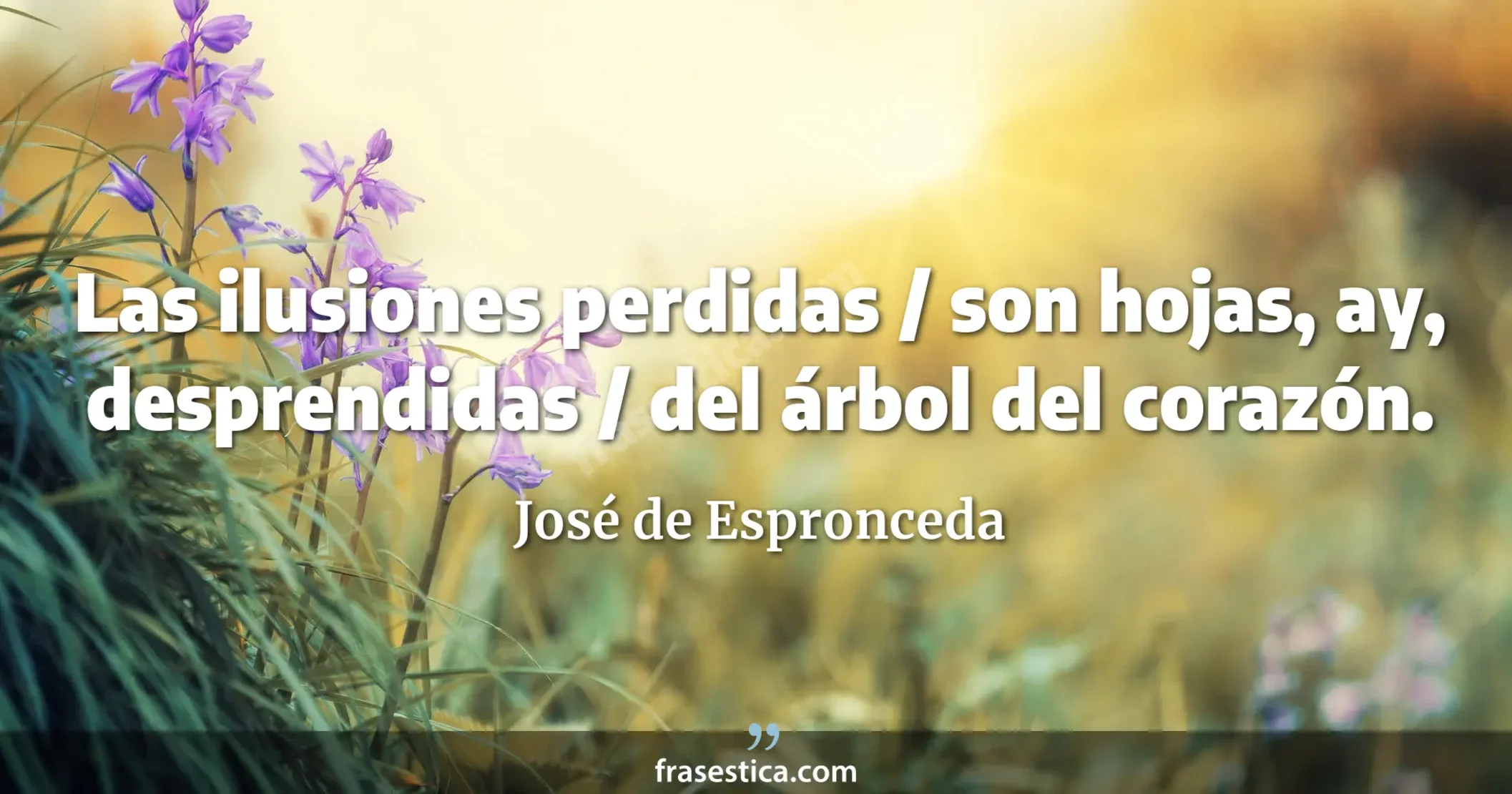 Las ilusiones perdidas / son hojas, ay, desprendidas / del árbol del corazón. - José de Espronceda