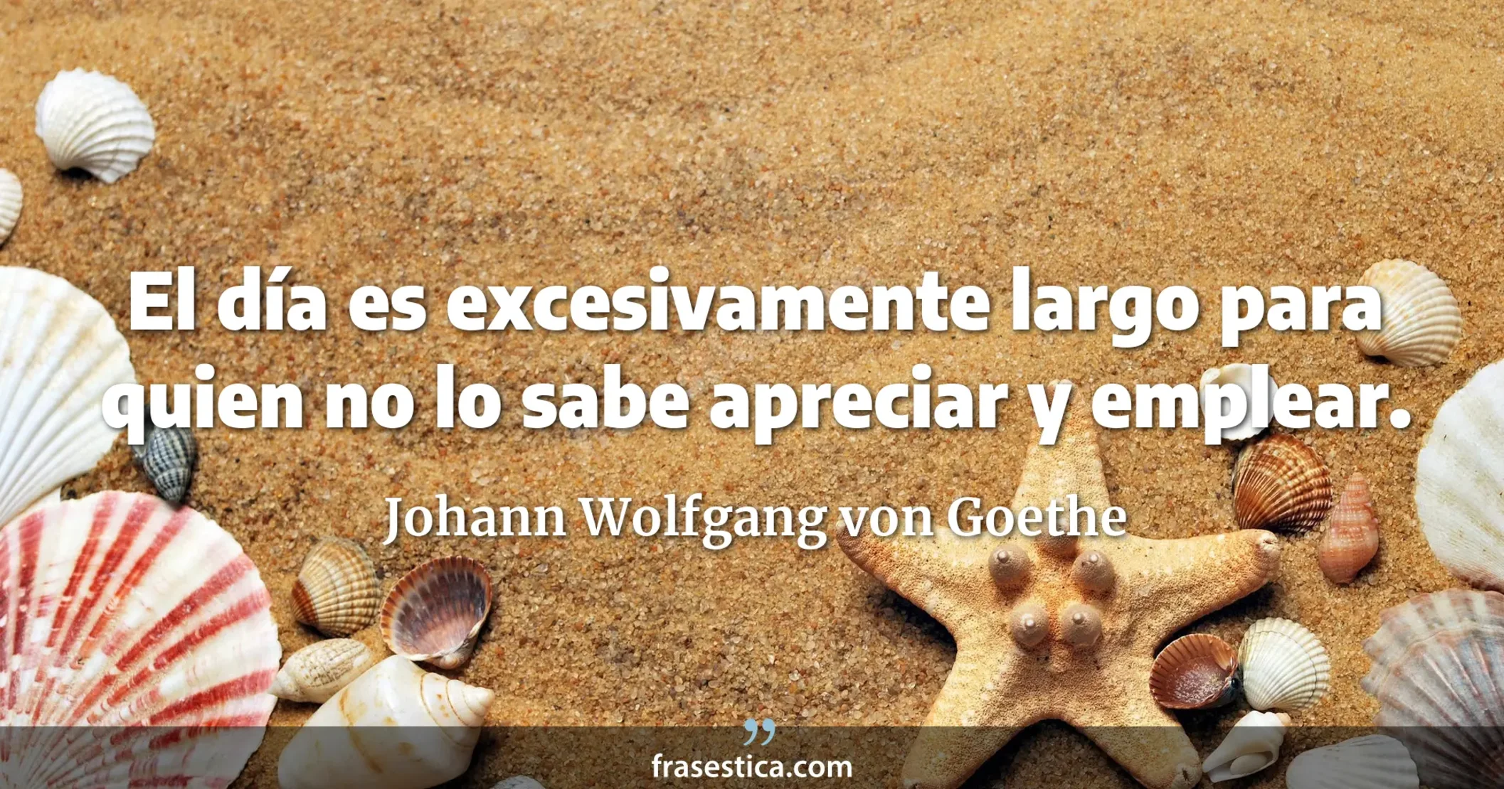 El día es excesivamente largo para quien no lo sabe apreciar y emplear. - Johann Wolfgang von Goethe