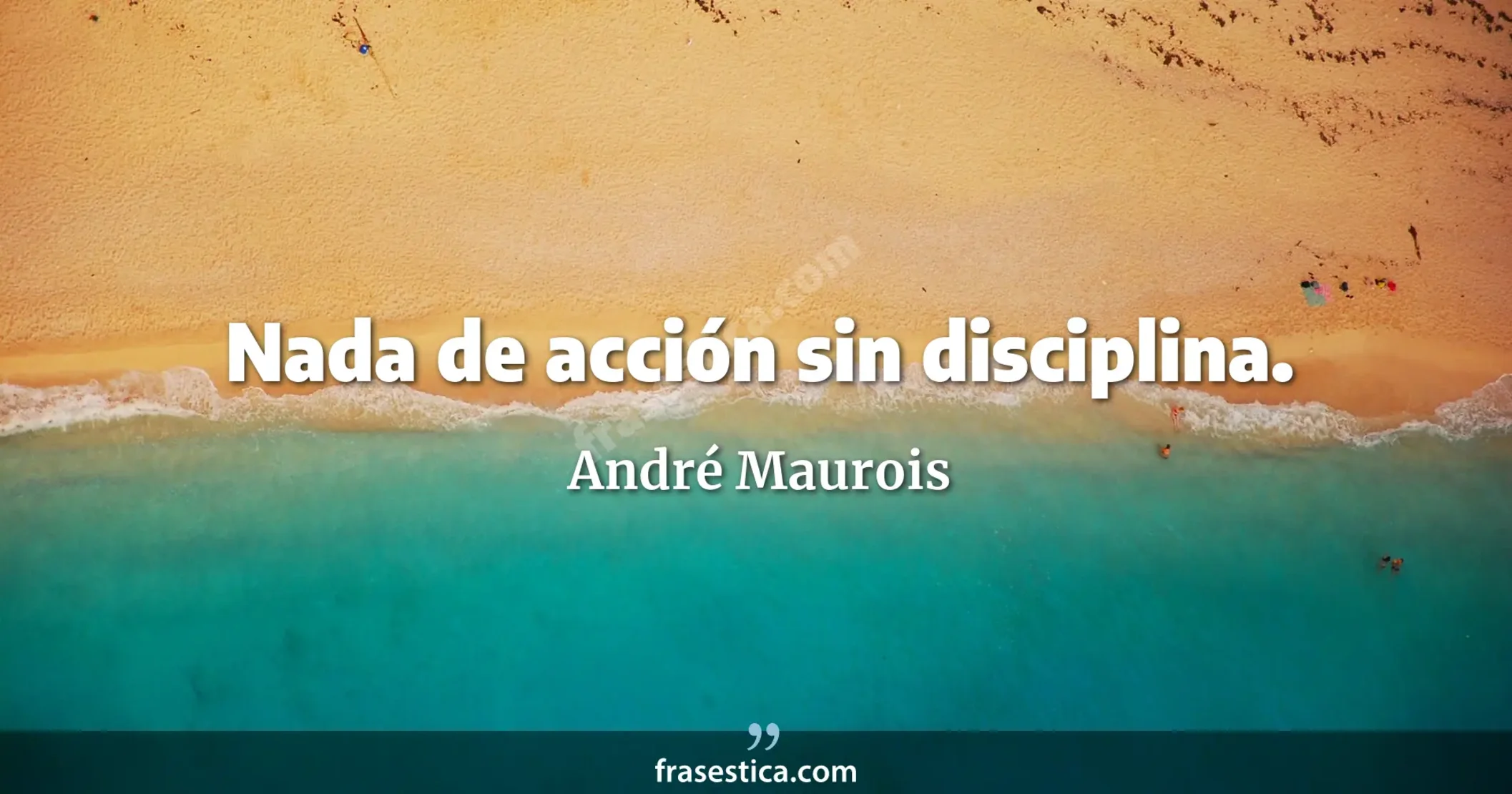 Nada de acción sin disciplina. - André Maurois