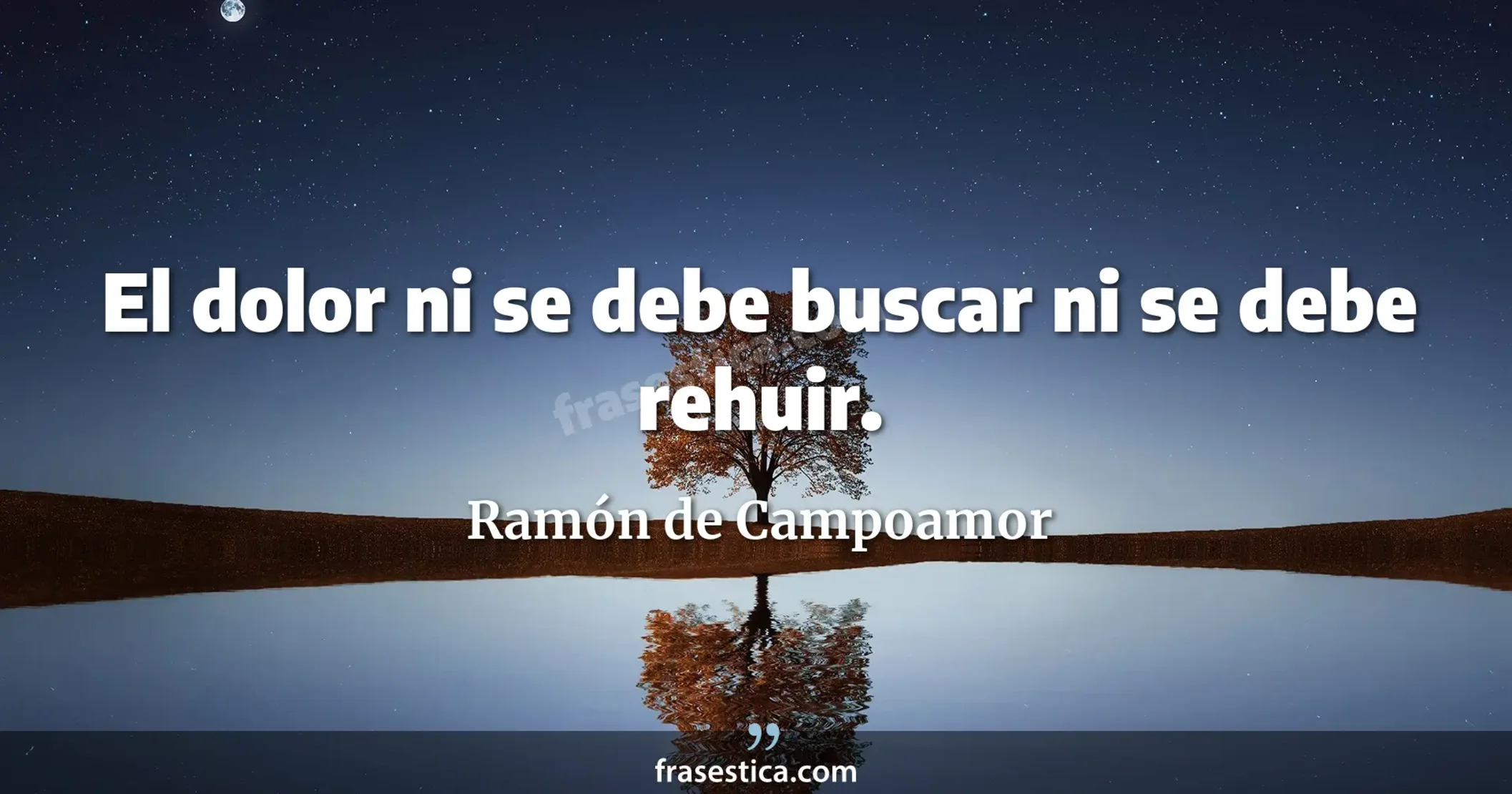 El dolor ni se debe buscar ni se debe rehuir. - Ramón de Campoamor