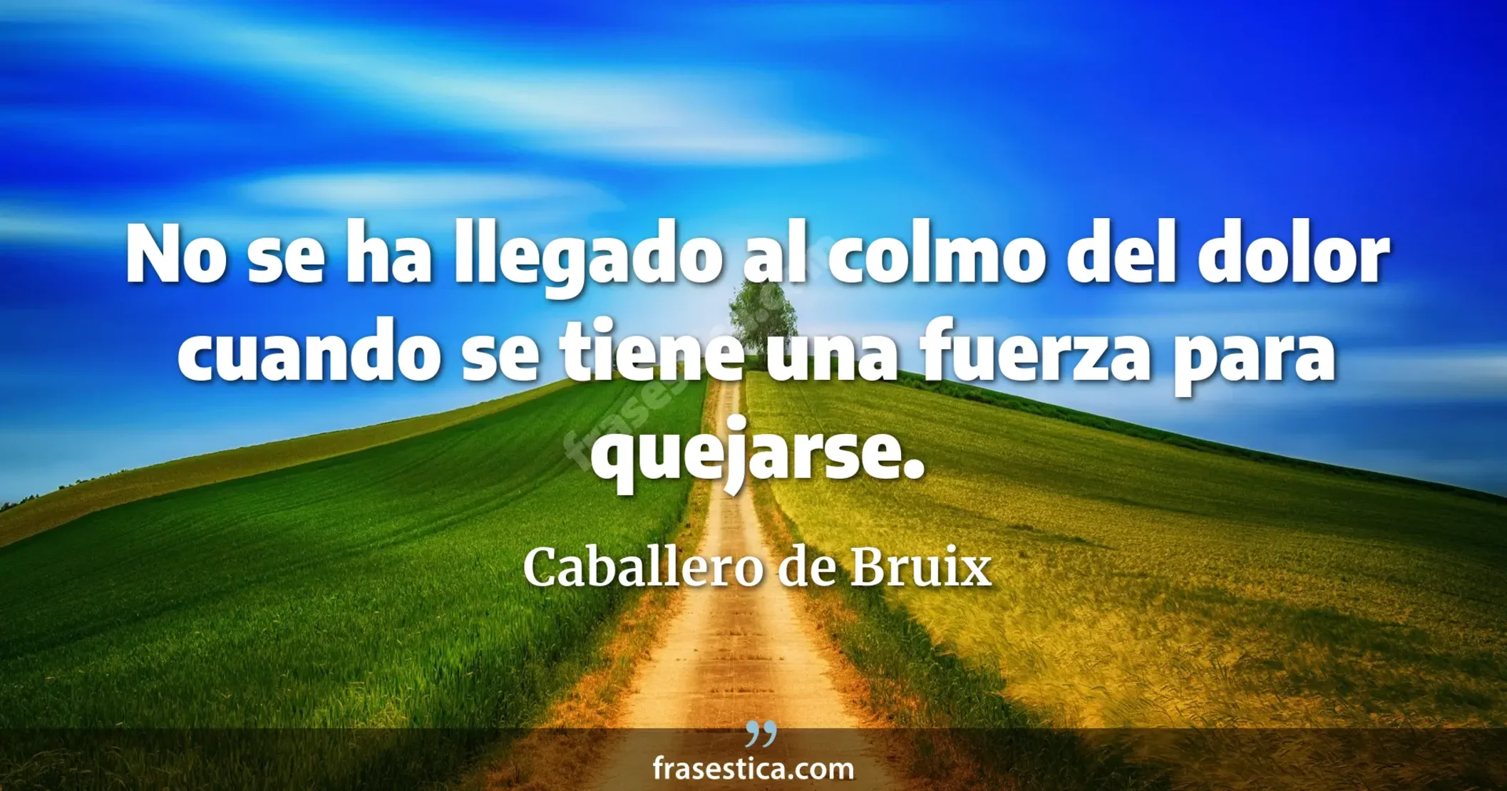 No se ha llegado al colmo del dolor cuando se tiene una fuerza para quejarse. - Caballero de Bruix