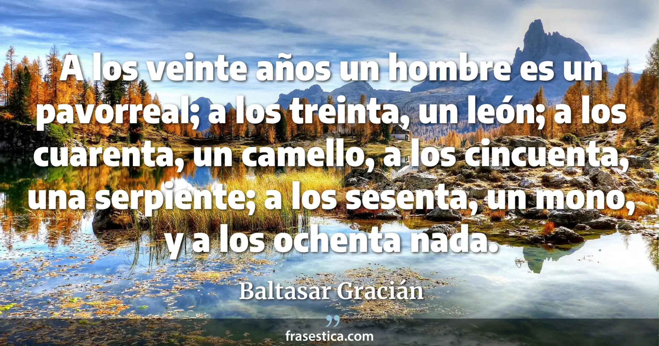 A los veinte años un hombre es un pavorreal; a los treinta, un león; a los cuarenta, un camello, a los cincuenta, una serpiente; a los sesenta, un mono, y a los ochenta nada. - Baltasar Gracián