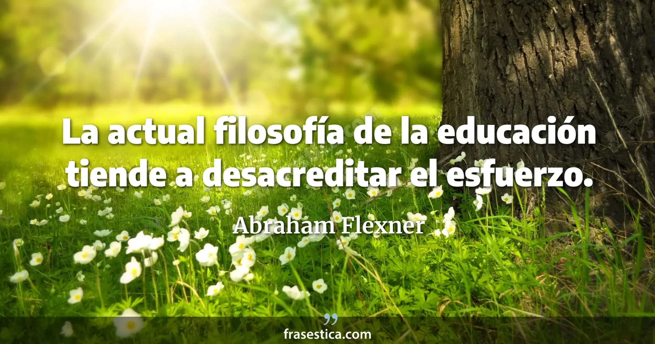 La actual filosofía de la educación tiende a desacreditar el esfuerzo. - Abraham Flexner