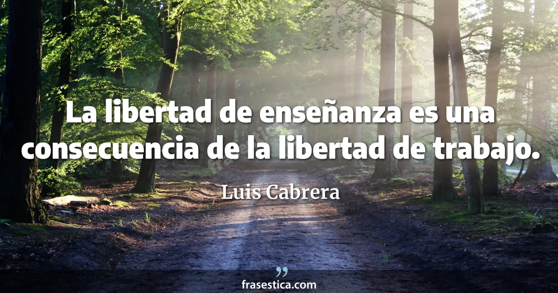 La libertad de enseñanza es una consecuencia de la libertad de trabajo. - Luis Cabrera
