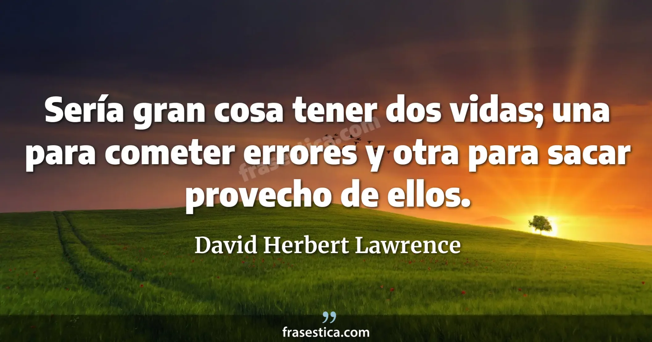 Sería gran cosa tener dos vidas; una para cometer errores y otra para sacar provecho de ellos. - David Herbert Lawrence