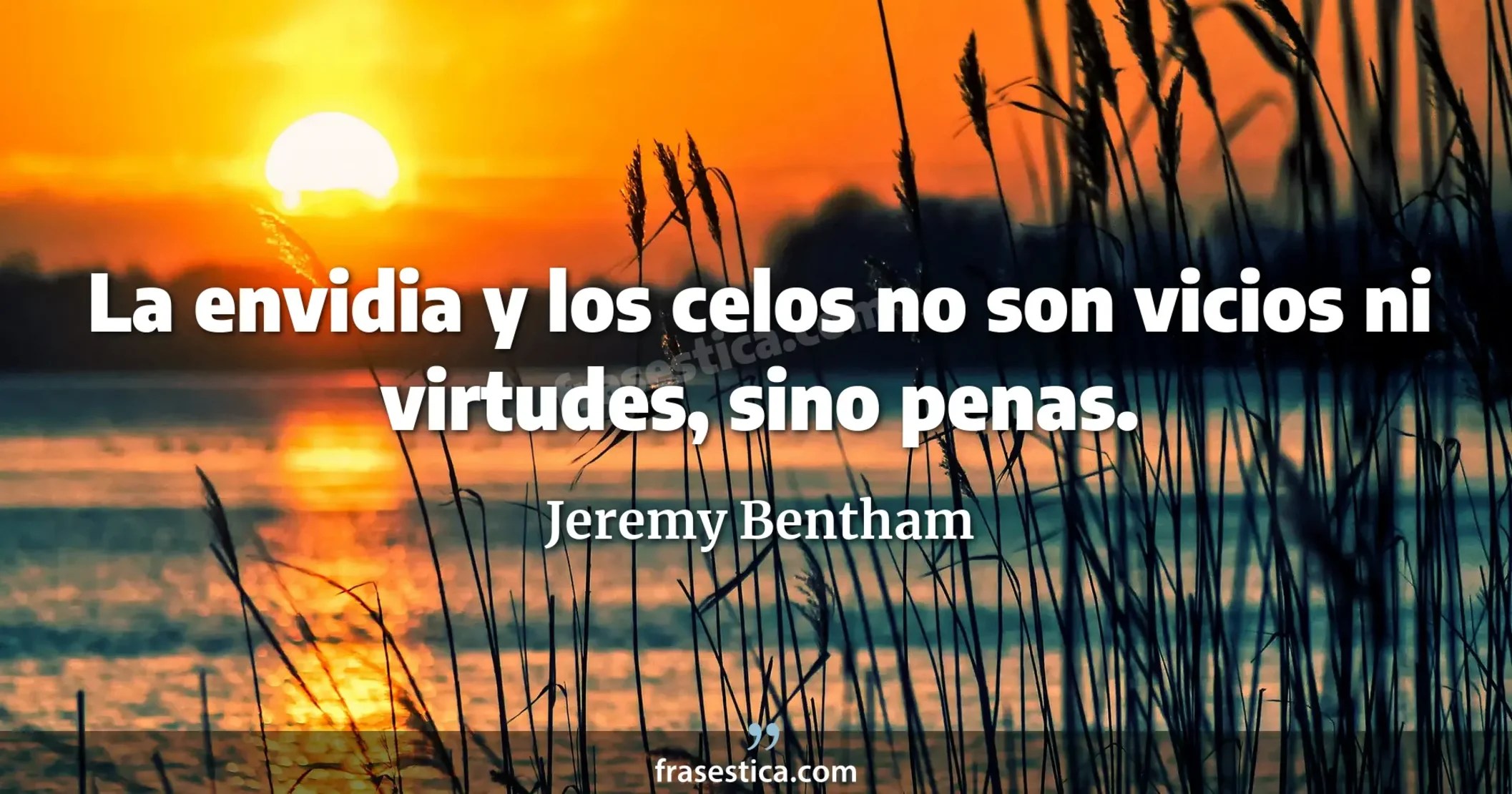 La envidia y los celos no son vicios ni virtudes, sino penas. - Jeremy Bentham