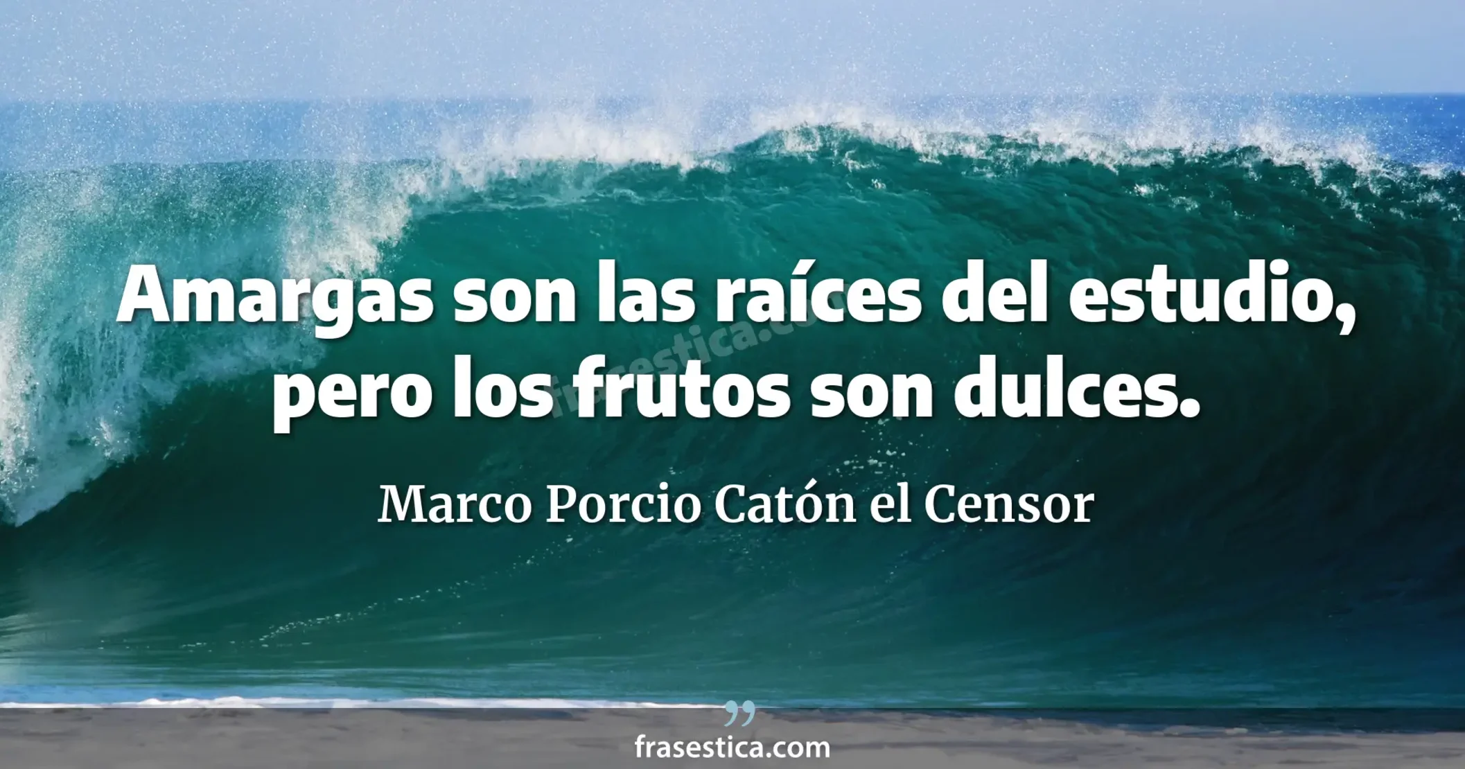 Amargas son las raíces del estudio, pero los frutos son dulces. - Marco Porcio Catón el Censor