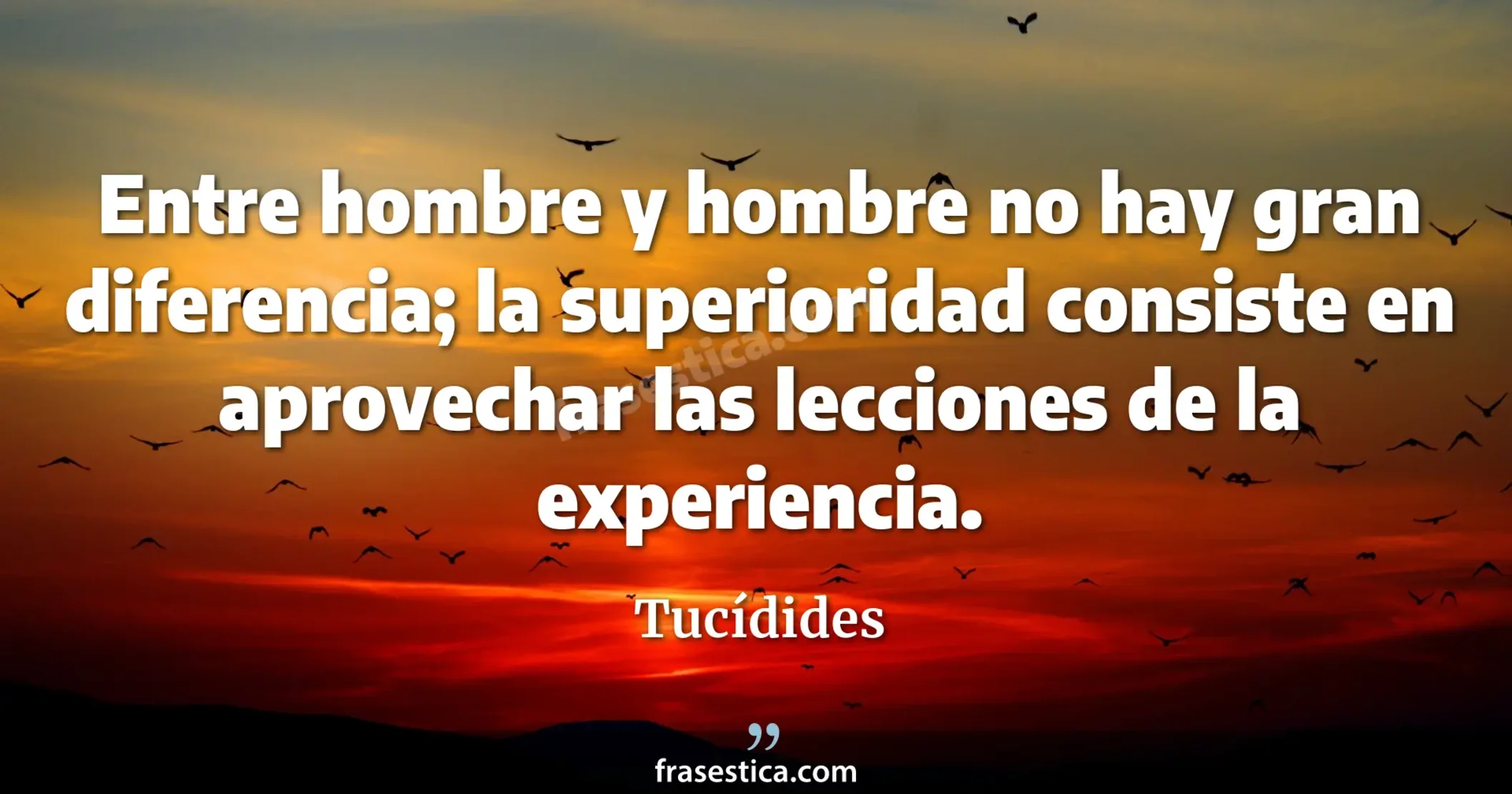Entre hombre y hombre no hay gran diferencia; la superioridad consiste en aprovechar las lecciones de la experiencia. - Tucídides