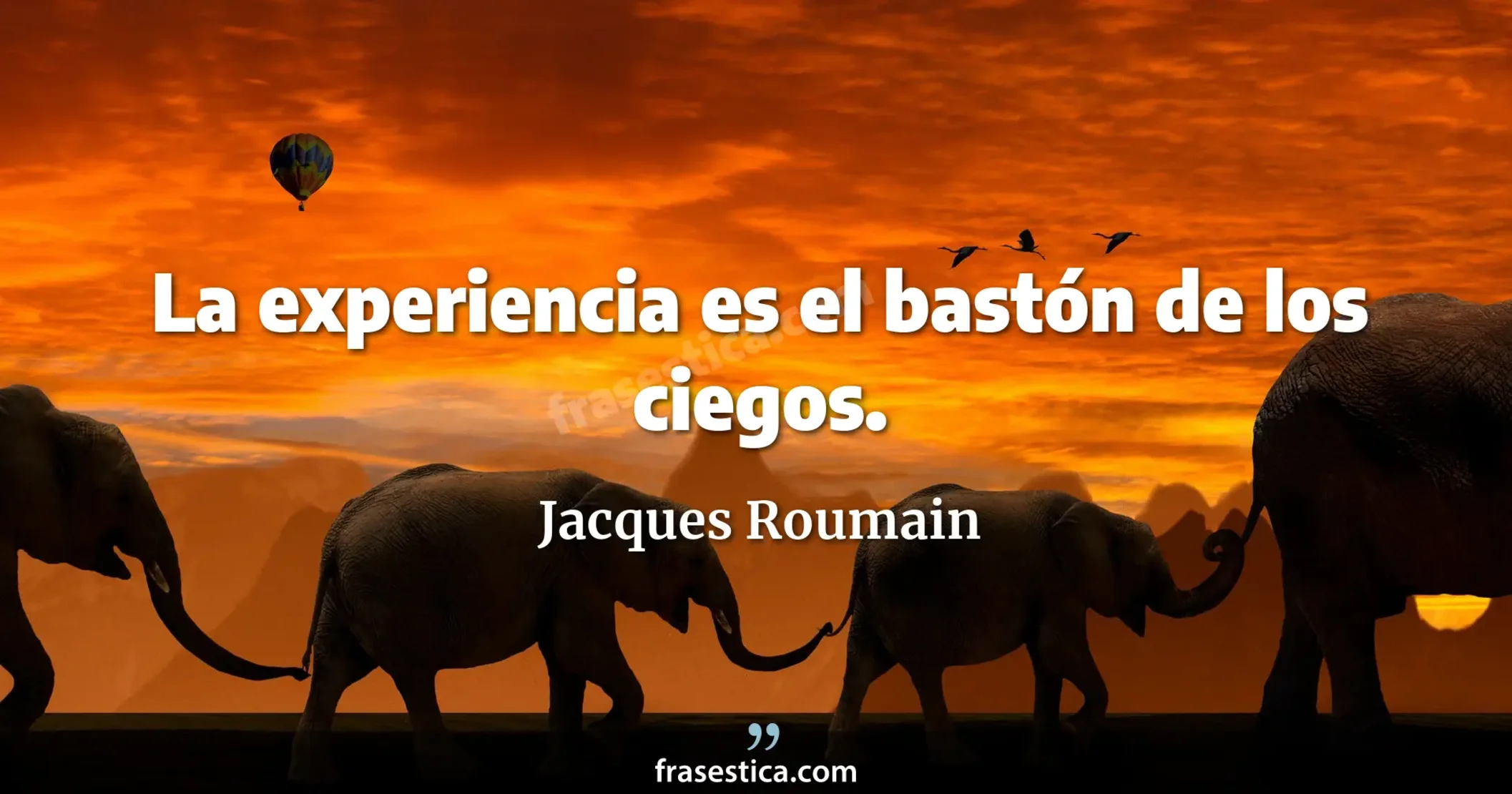 La experiencia es el bastón de los ciegos. - Jacques Roumain