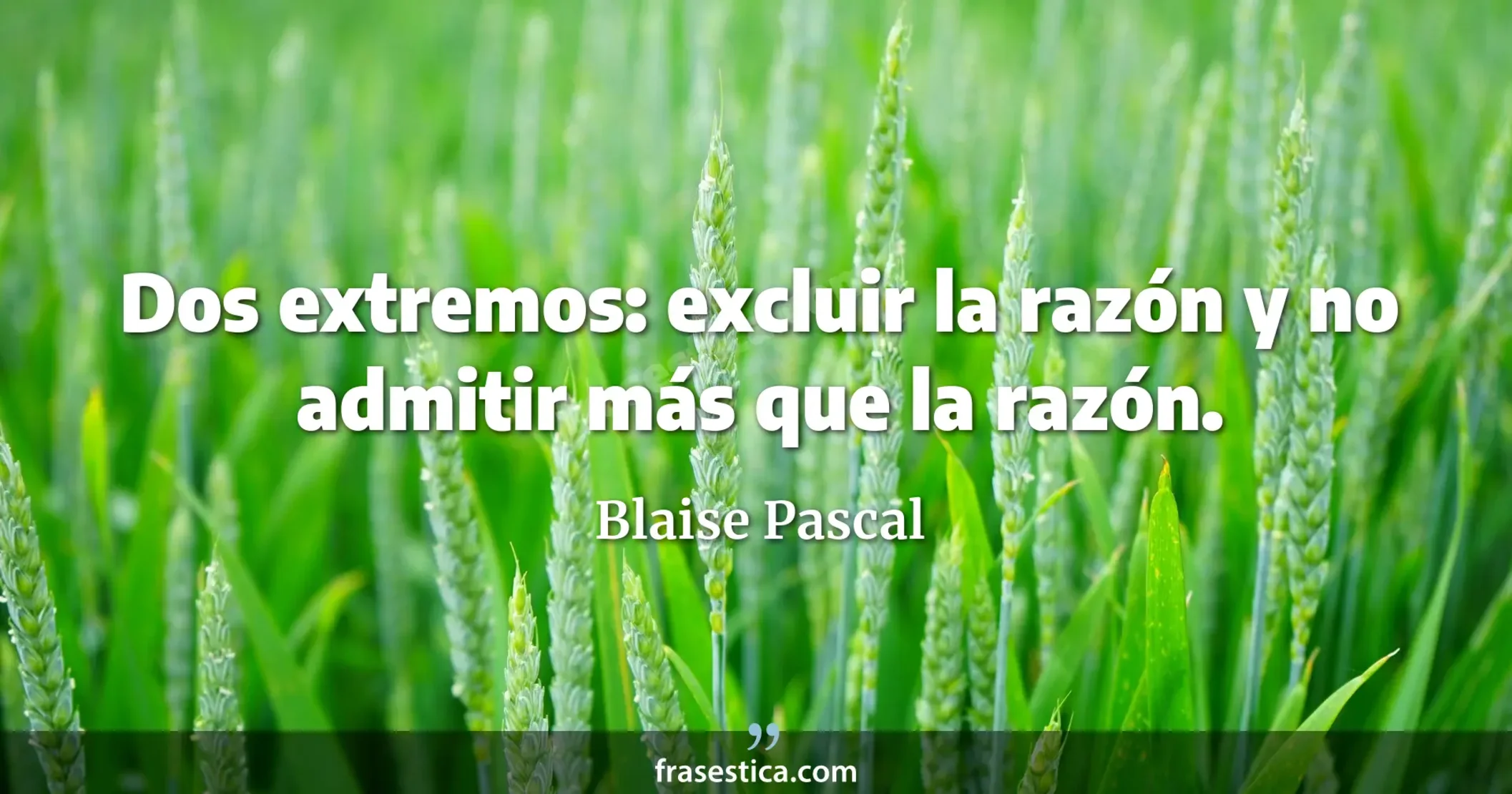 Dos extremos: excluir la razón y no admitir más que la razón. - Blaise Pascal