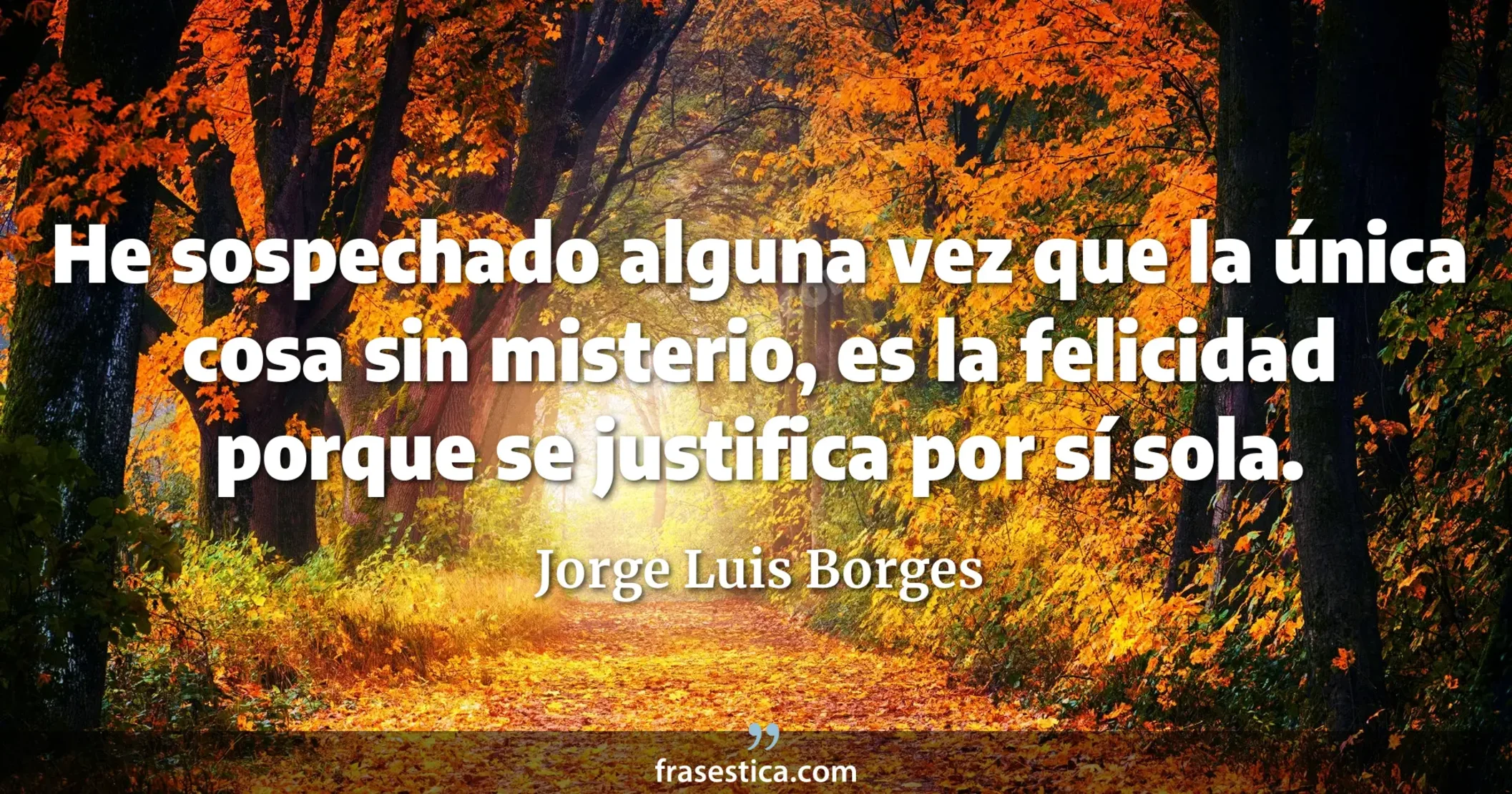 He sospechado alguna vez que la única cosa sin misterio, es la felicidad porque se justifica por sí sola. - Jorge Luis Borges
