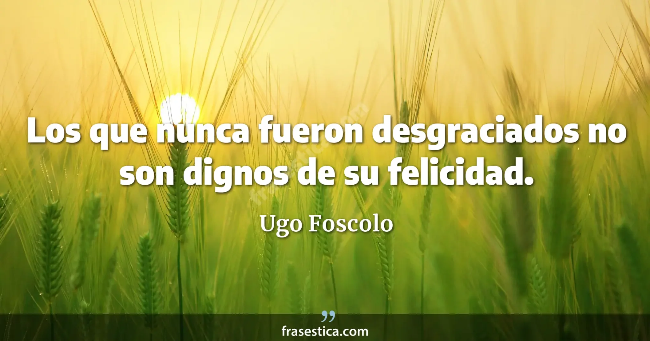 Los que nunca fueron desgraciados no son dignos de su felicidad. - Ugo Foscolo