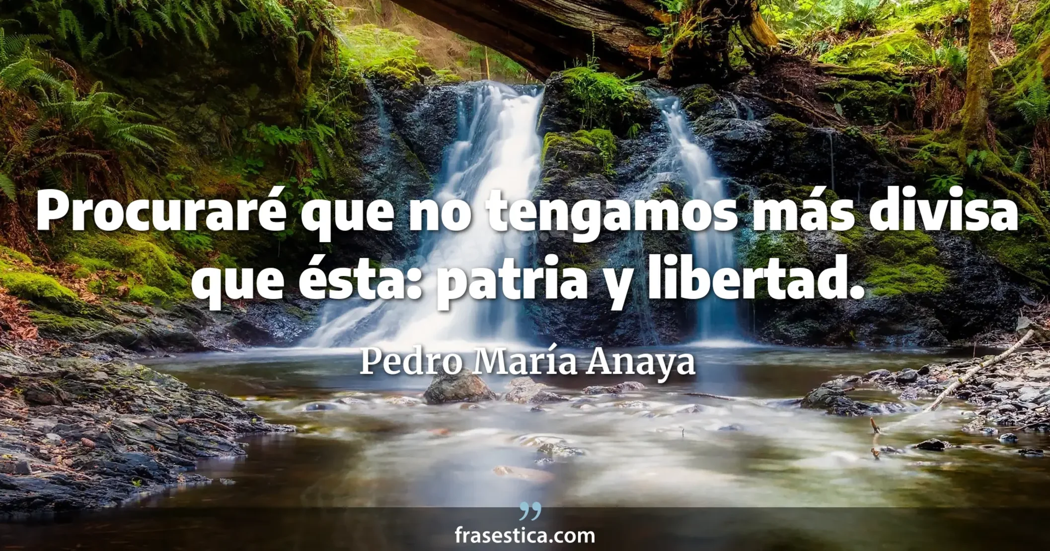 Procuraré que no tengamos más divisa que ésta: patria y libertad. - Pedro María Anaya
