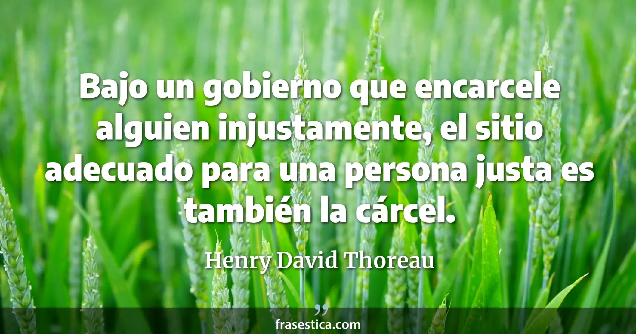 Bajo un gobierno que encarcele alguien injustamente, el sitio adecuado para una persona justa es también la cárcel. - Henry David Thoreau