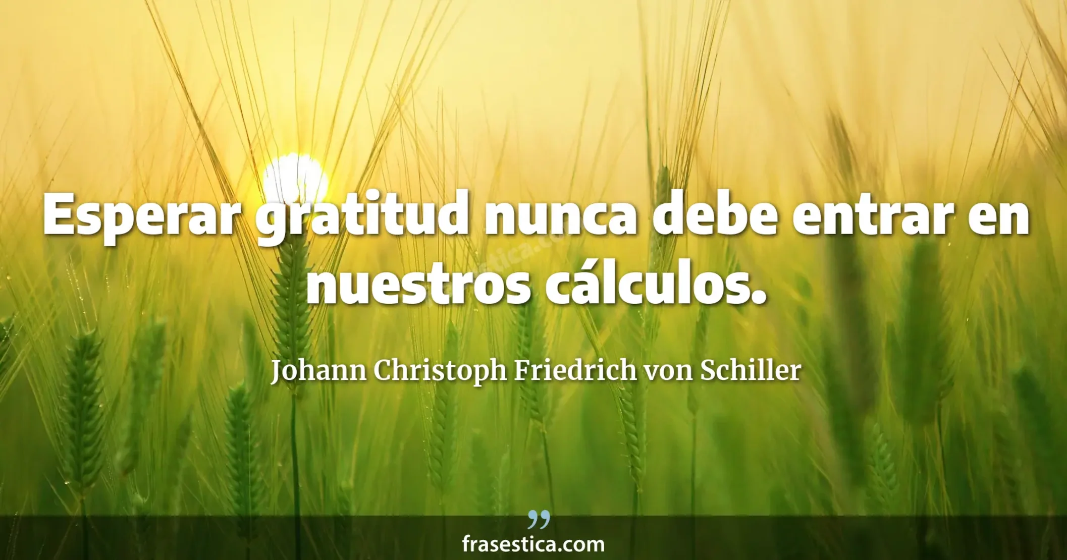 Esperar gratitud nunca debe entrar en nuestros cálculos. - Johann Christoph Friedrich von Schiller