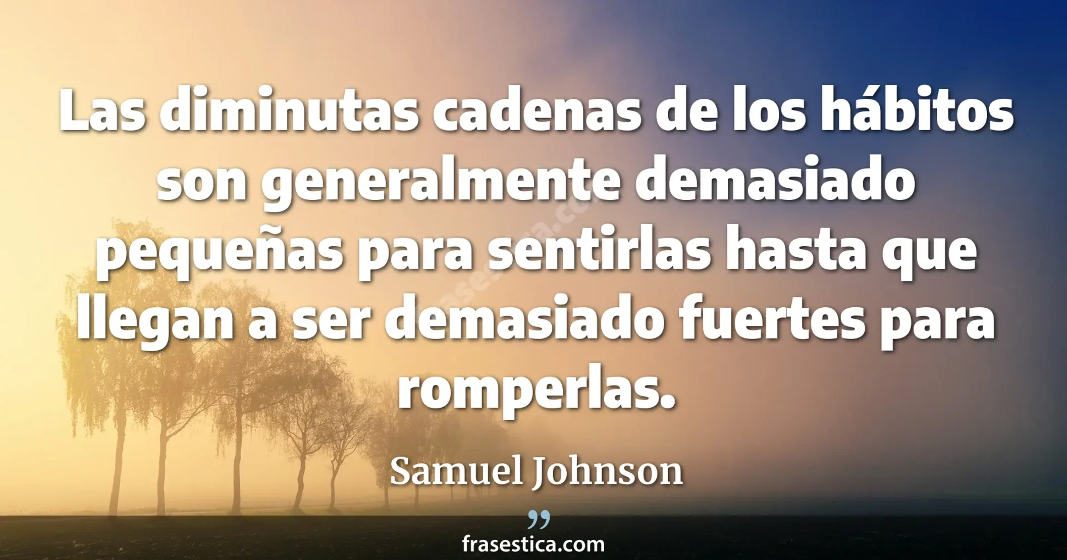 Las diminutas cadenas de los hábitos son generalmente demasiado pequeñas para sentirlas hasta que llegan a ser demasiado fuertes para romperlas. - Samuel Johnson