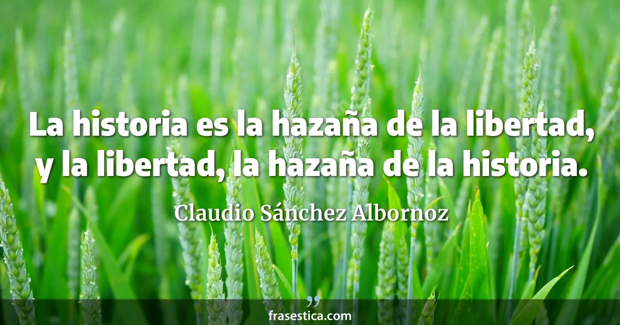 La historia es la hazaña de la libertad, y la libertad, la hazaña de la historia. - Claudio Sánchez Albornoz