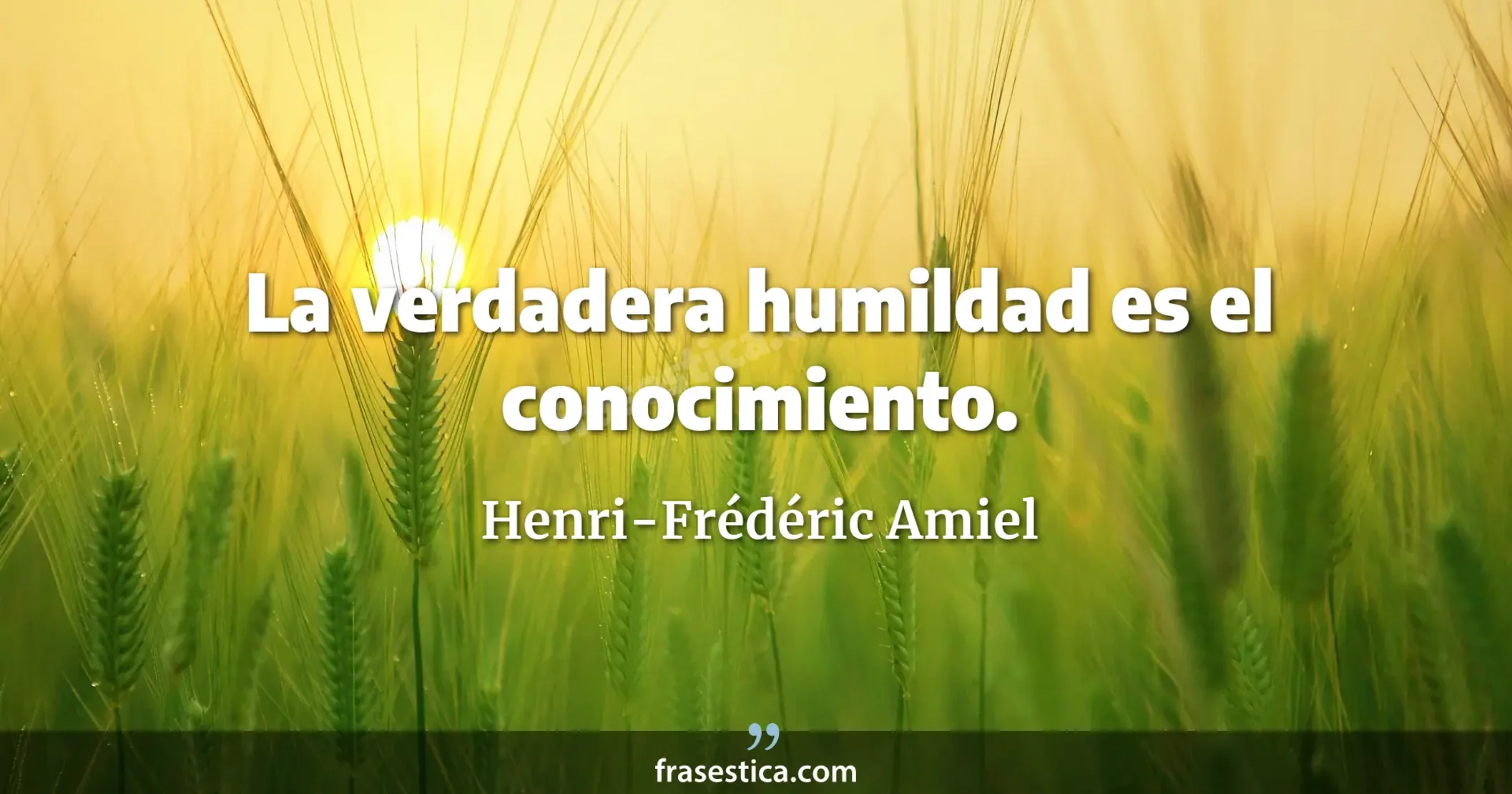 La verdadera humildad es el conocimiento. - Henri-Frédéric Amiel