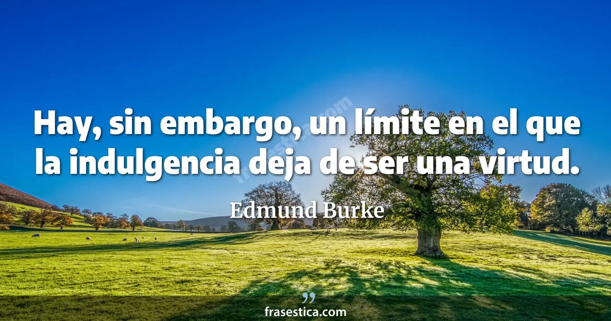 Hay, sin embargo, un límite en el que la indulgencia deja de ser una virtud. - Edmund Burke