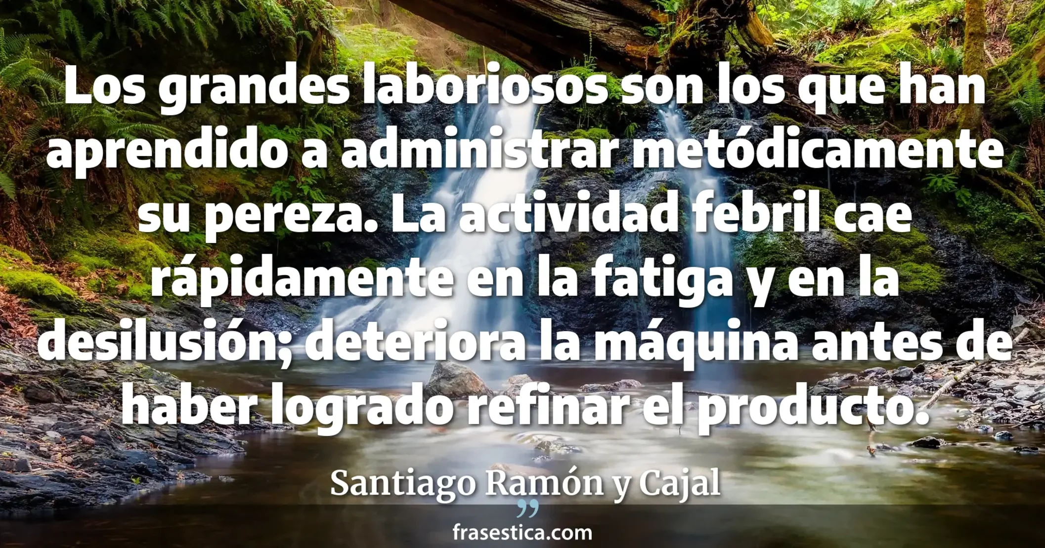 Los grandes laboriosos son los que han aprendido a administrar metódicamente su pereza. La actividad febril cae rápidamente en la fatiga y en la desilusión; deteriora la máquina antes de haber logrado refinar el producto. - Santiago Ramón y Cajal