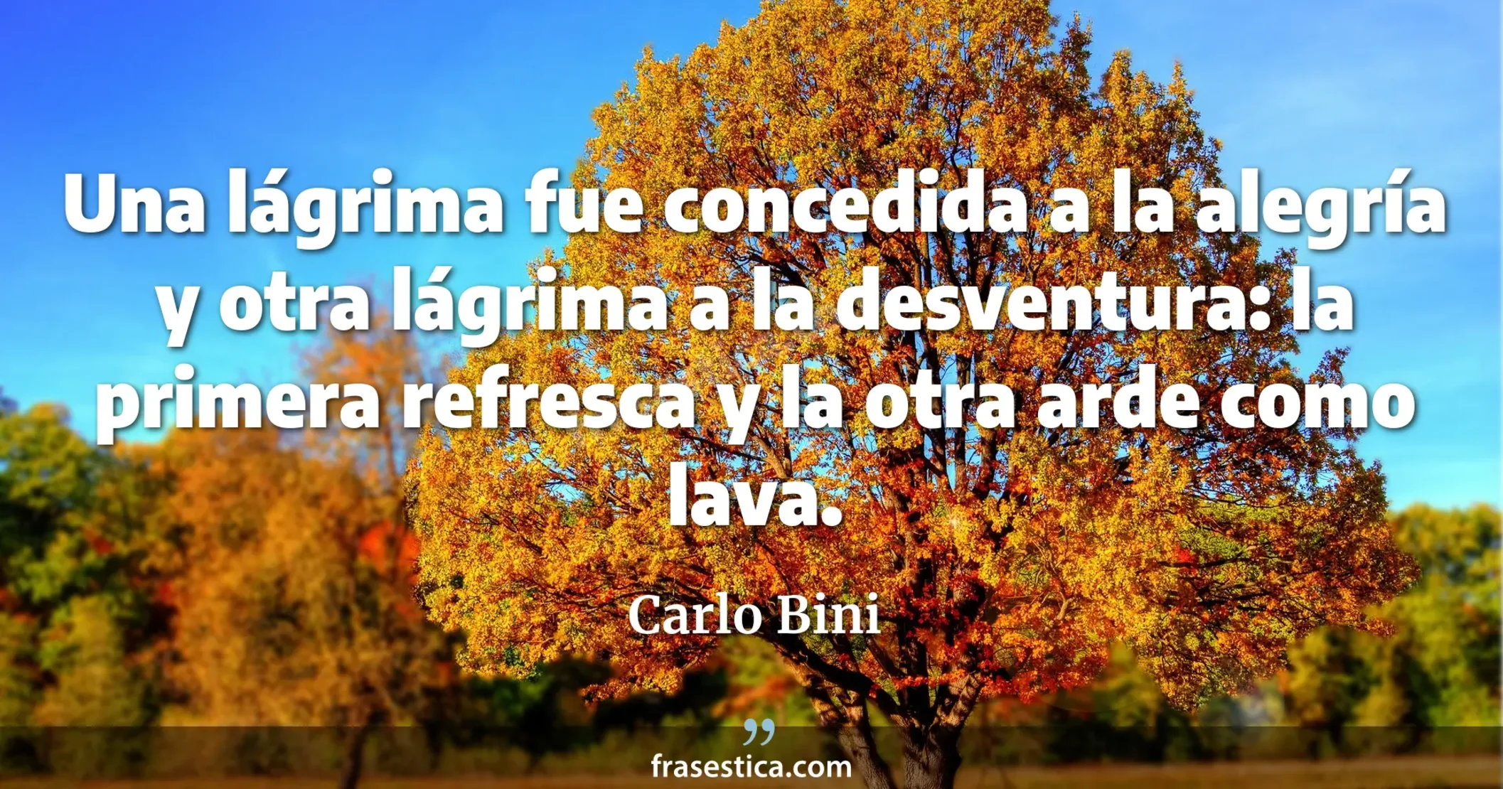 Una lágrima fue concedida a la alegría y otra lágrima a la desventura: la primera refresca y la otra arde como lava. - Carlo Bini
