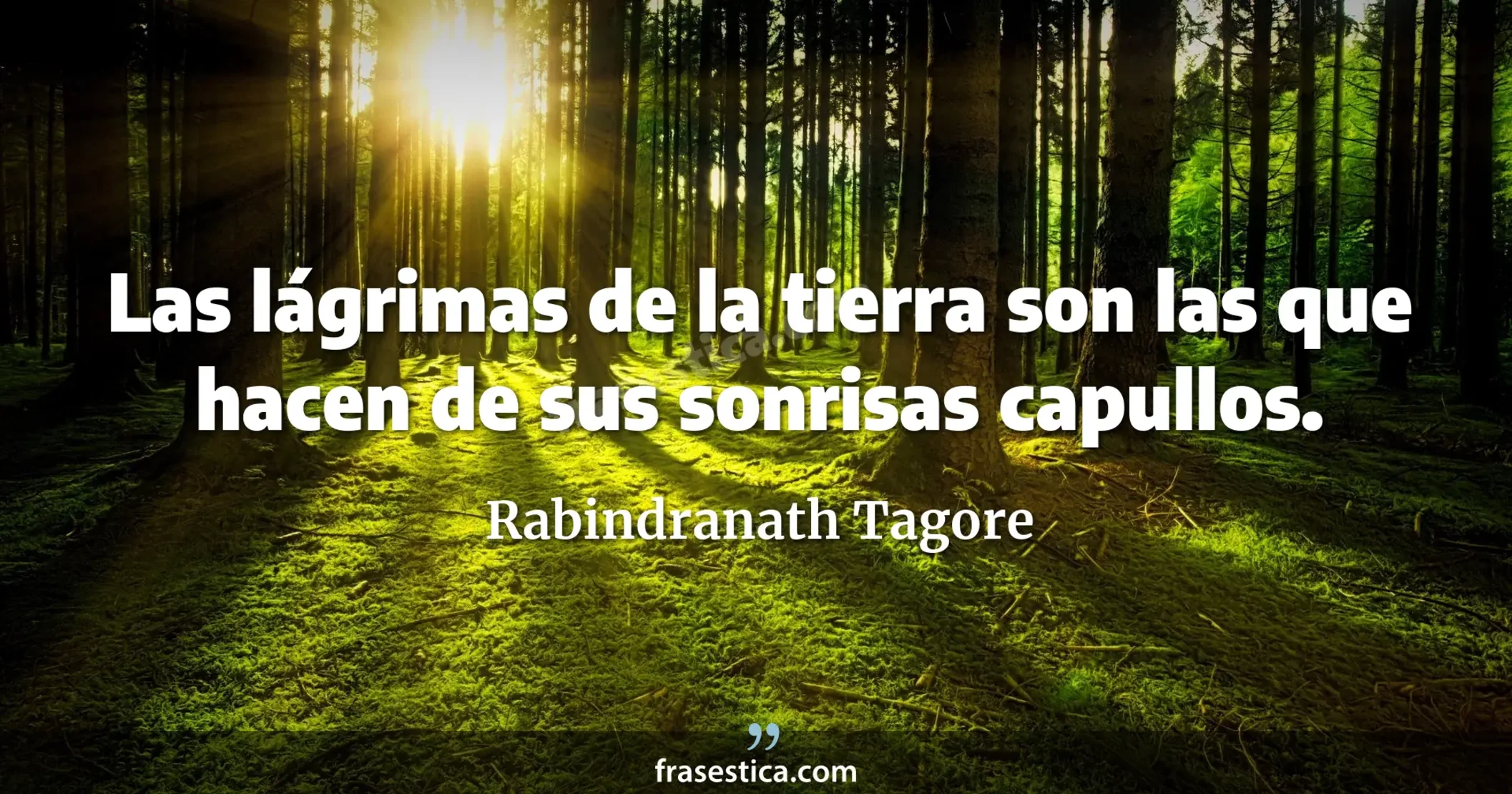 Las lágrimas de la tierra son las que hacen de sus sonrisas capullos. - Rabindranath Tagore