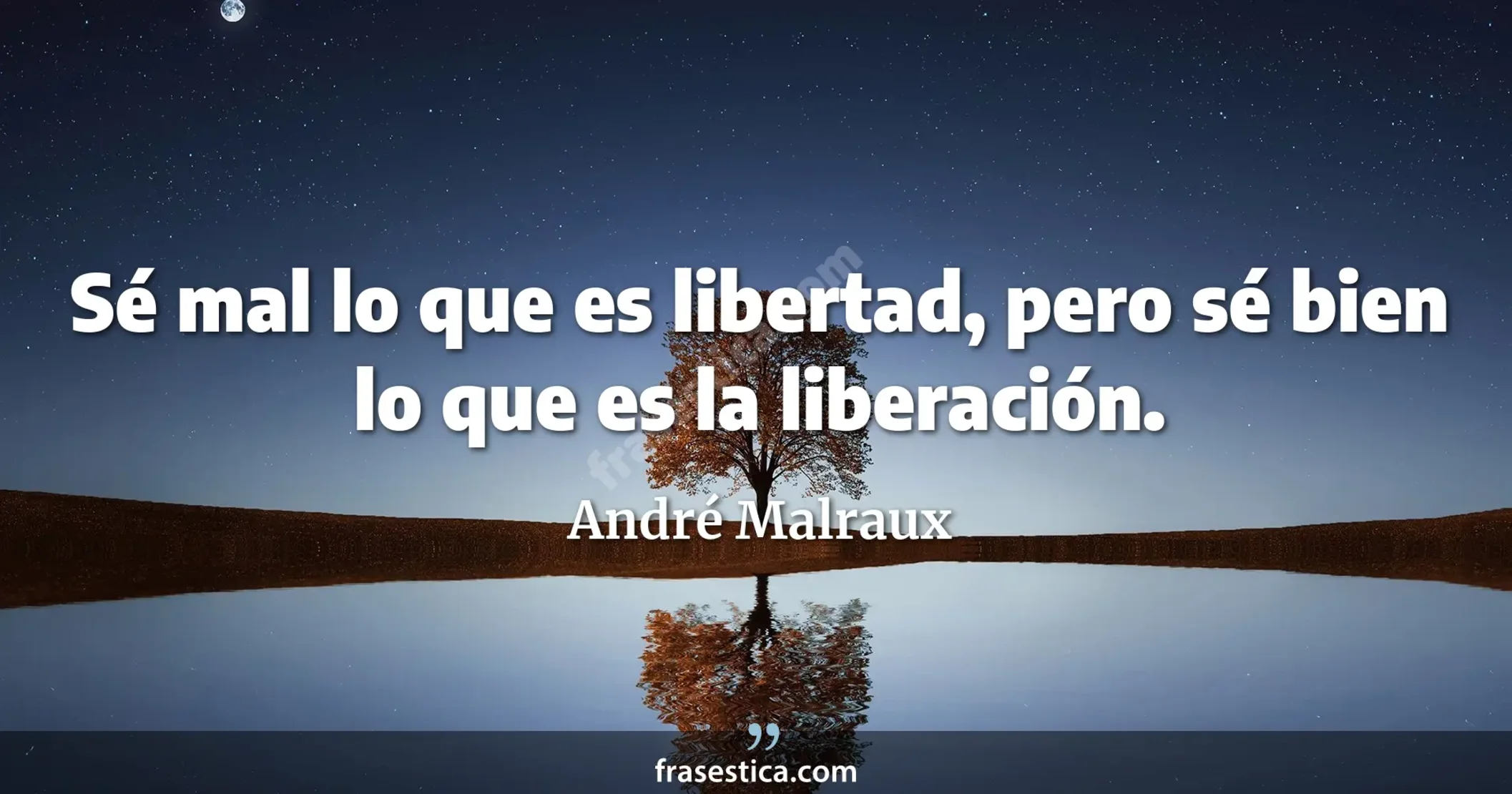 Sé mal lo que es libertad, pero sé bien lo que es la liberación. - André Malraux