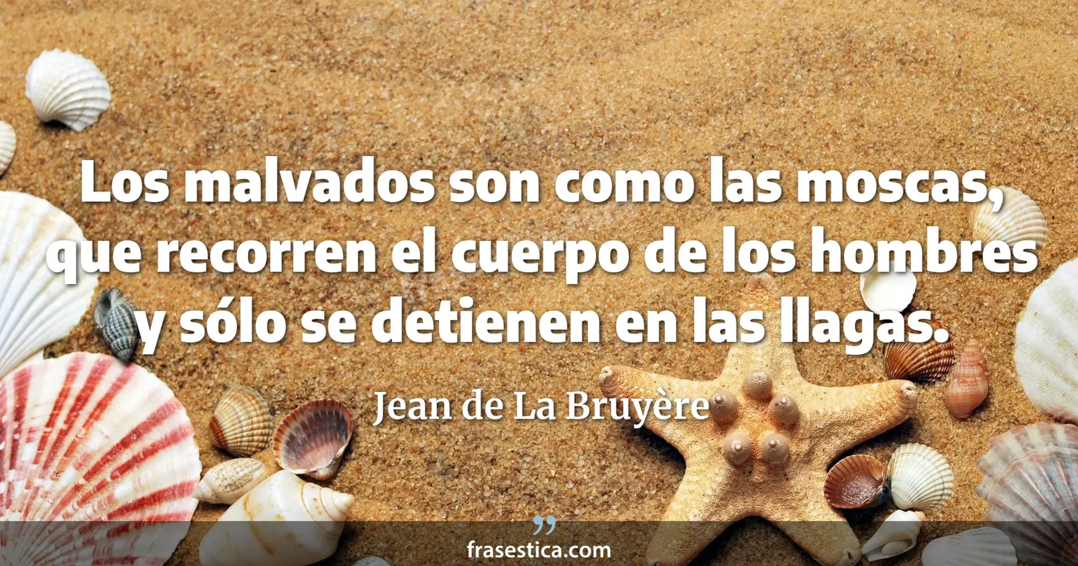 Los malvados son como las moscas, que recorren el cuerpo de los hombres y sólo se detienen en las llagas. - Jean de La Bruyère