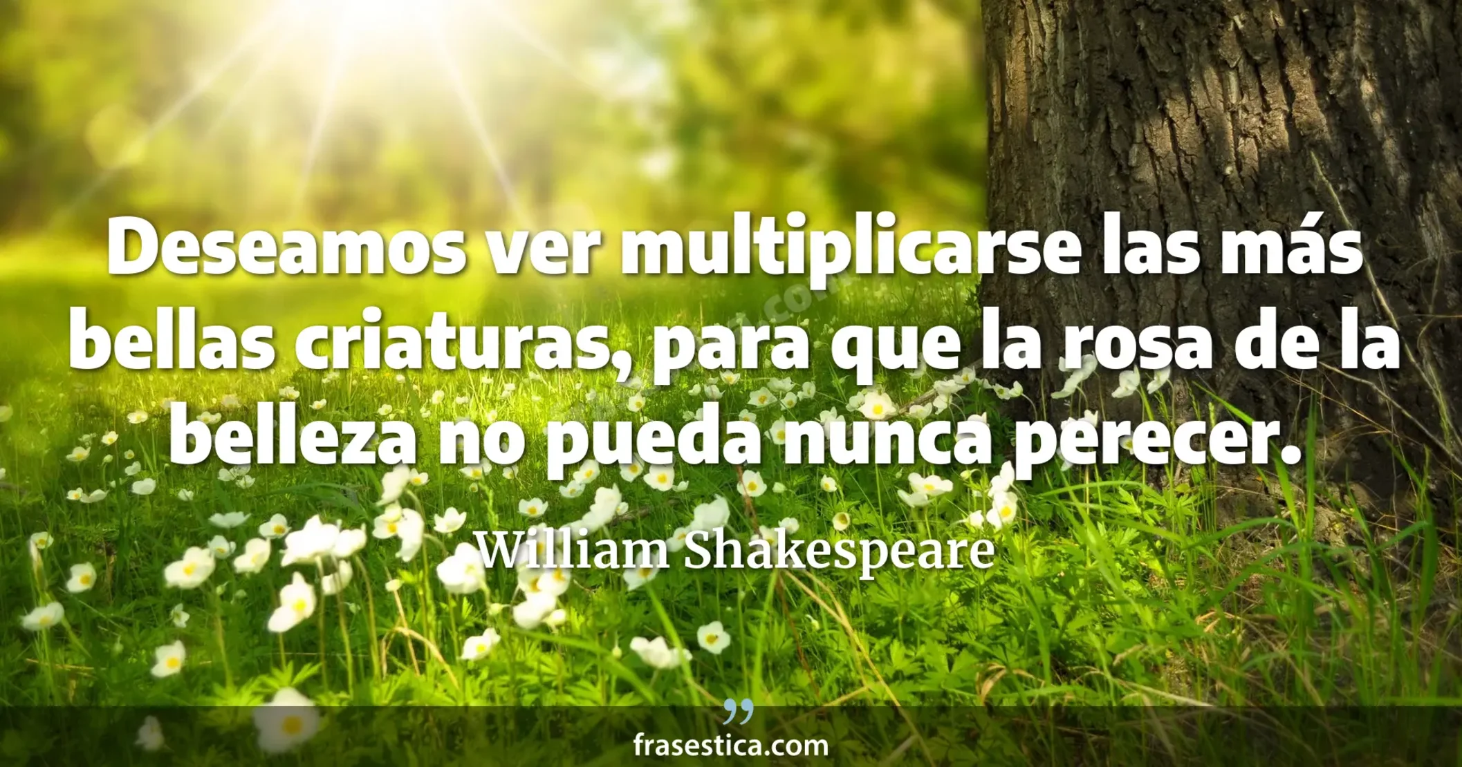 Deseamos ver multiplicarse las más bellas criaturas, para que la rosa de la belleza no pueda nunca perecer.  - William Shakespeare