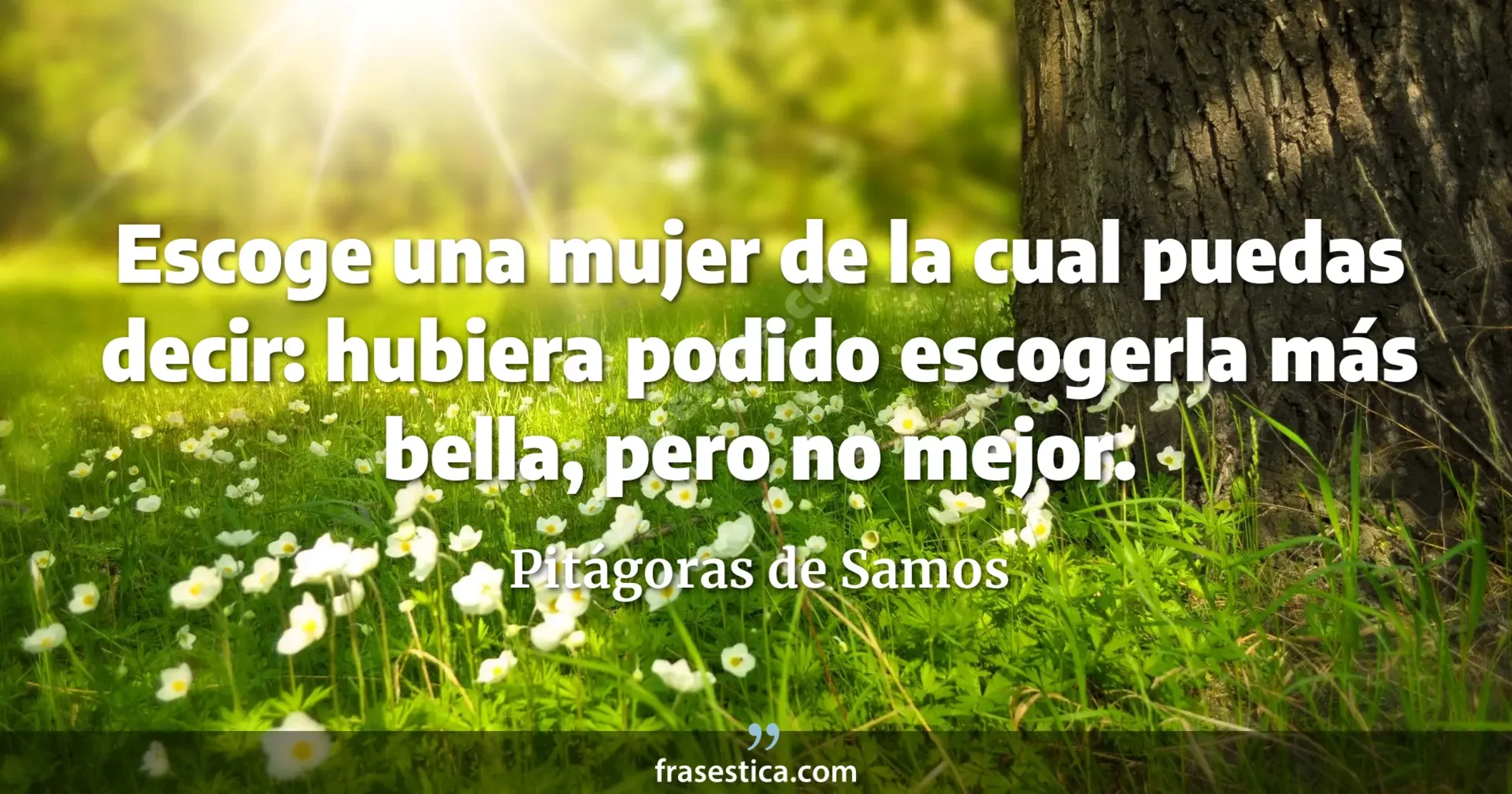 Escoge una mujer de la cual puedas decir: hubiera podido escogerla más bella, pero no mejor. - Pitágoras de Samos
