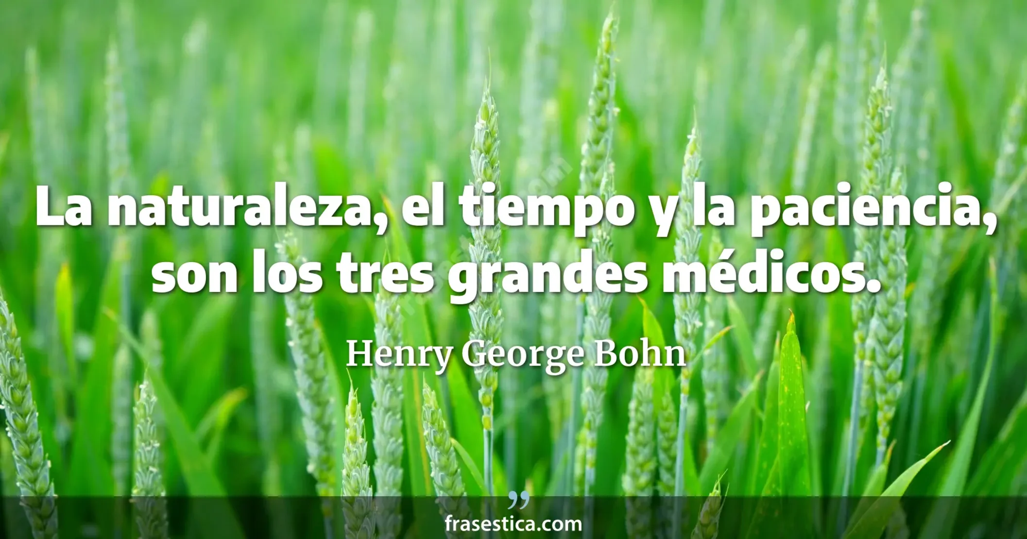 La naturaleza, el tiempo y la paciencia, son los tres grandes médicos. - Henry George Bohn