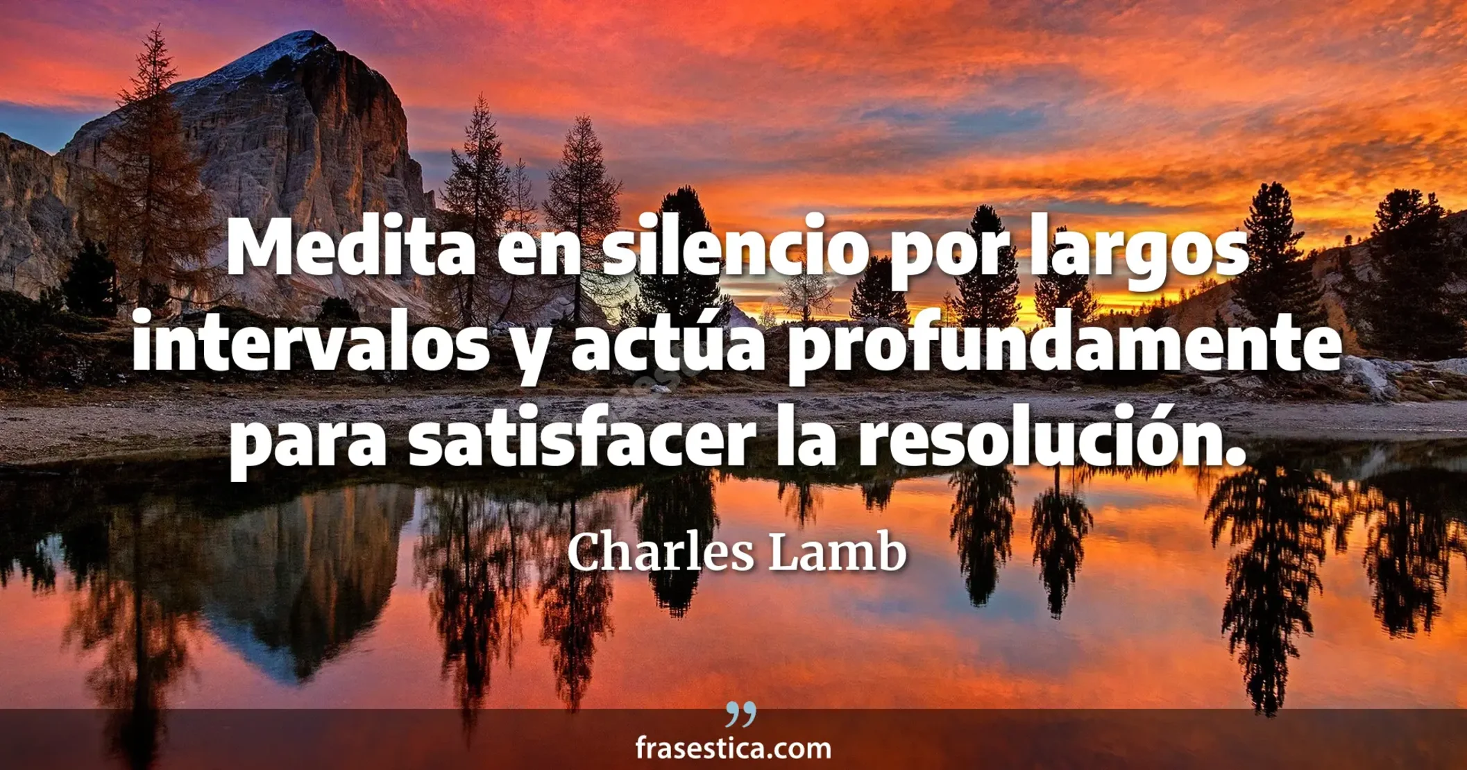 Medita en silencio por largos intervalos y actúa profundamente para satisfacer la resolución. - Charles Lamb