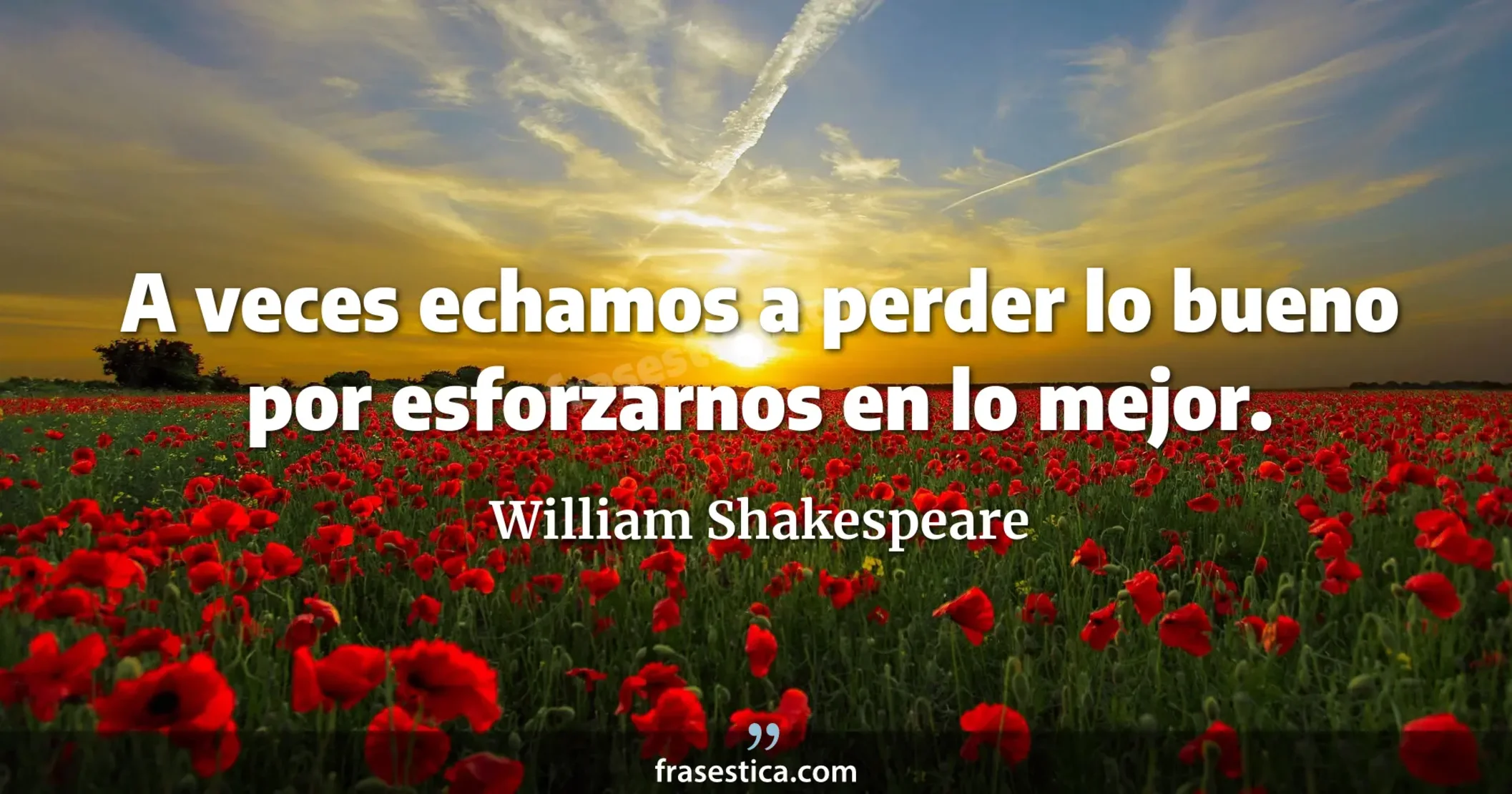 A veces echamos a perder lo bueno por esforzarnos en lo mejor. - William Shakespeare